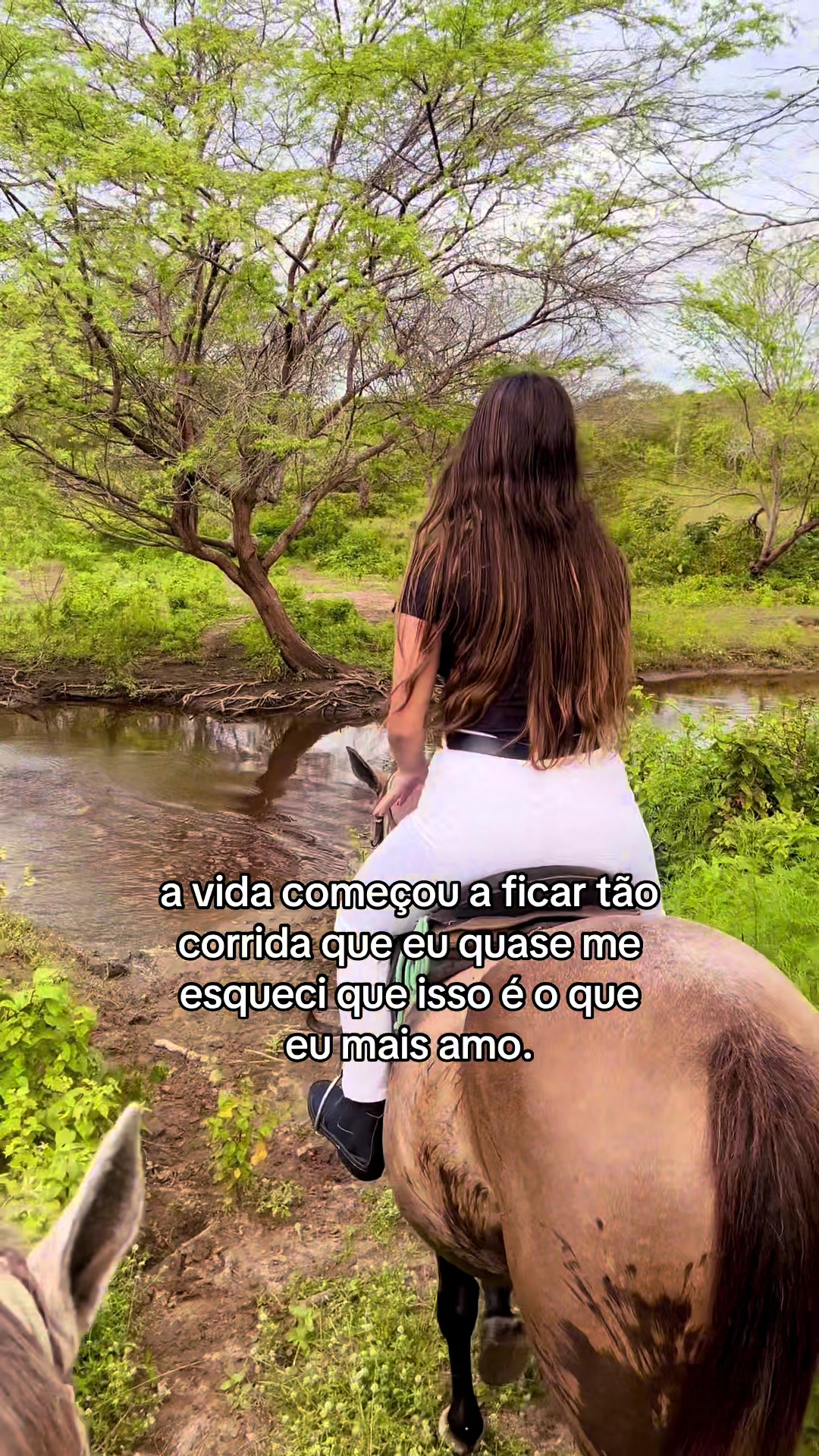 @Laura Dias