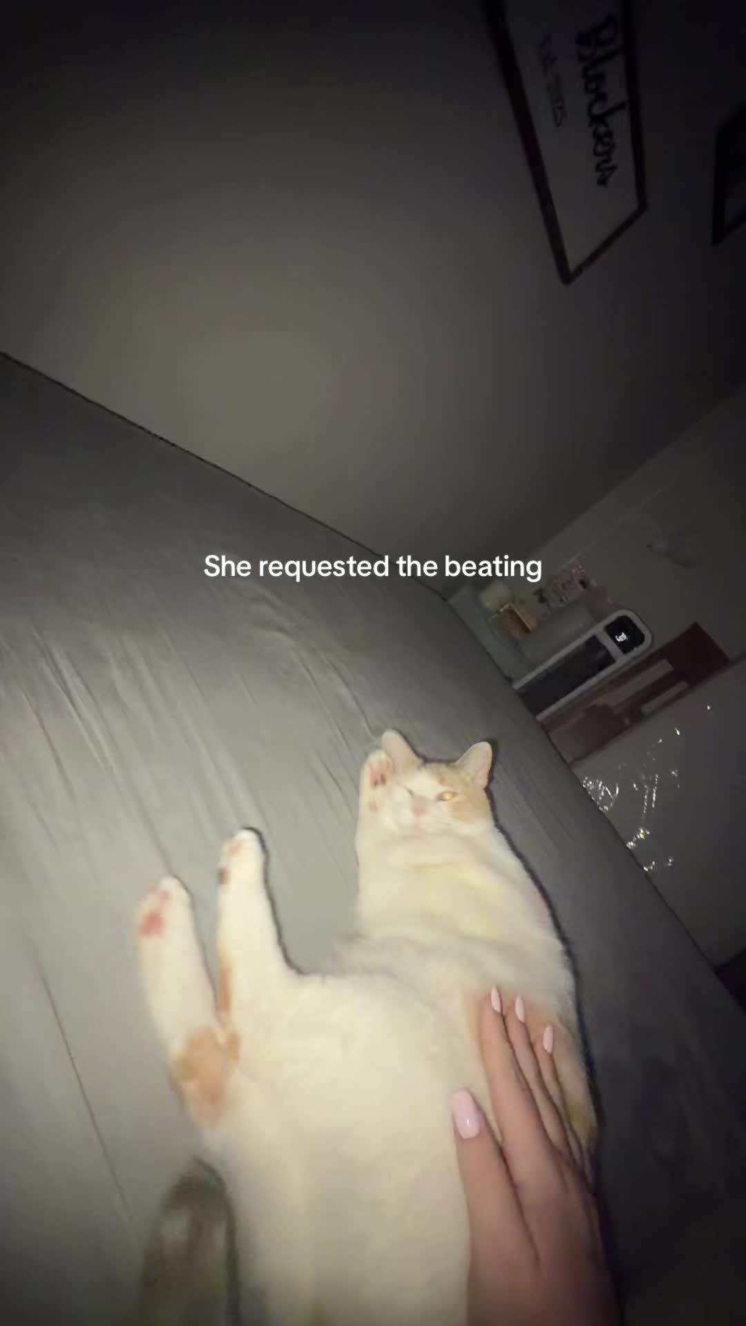 @vjb