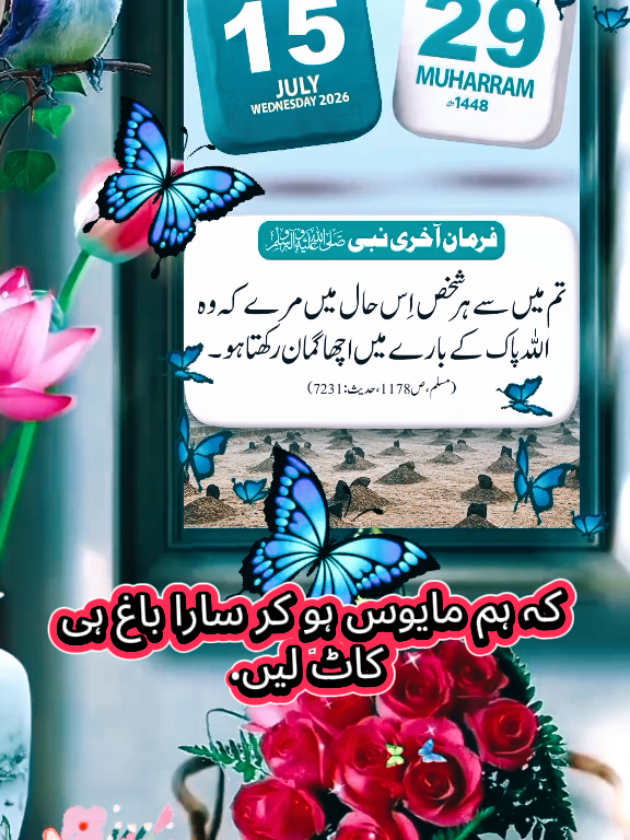 @viral_video_786