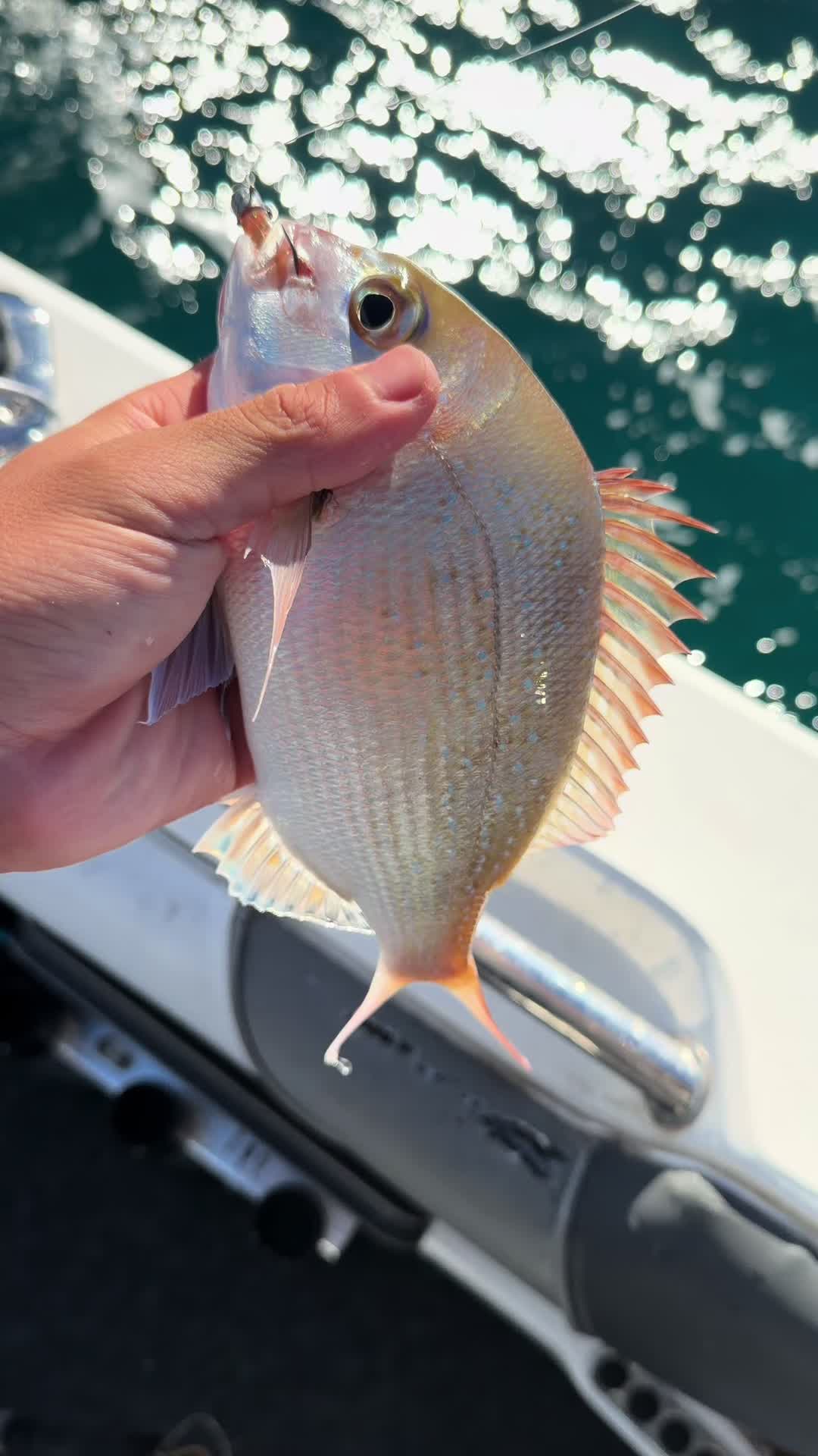 @CK&rsquo;s Fishing