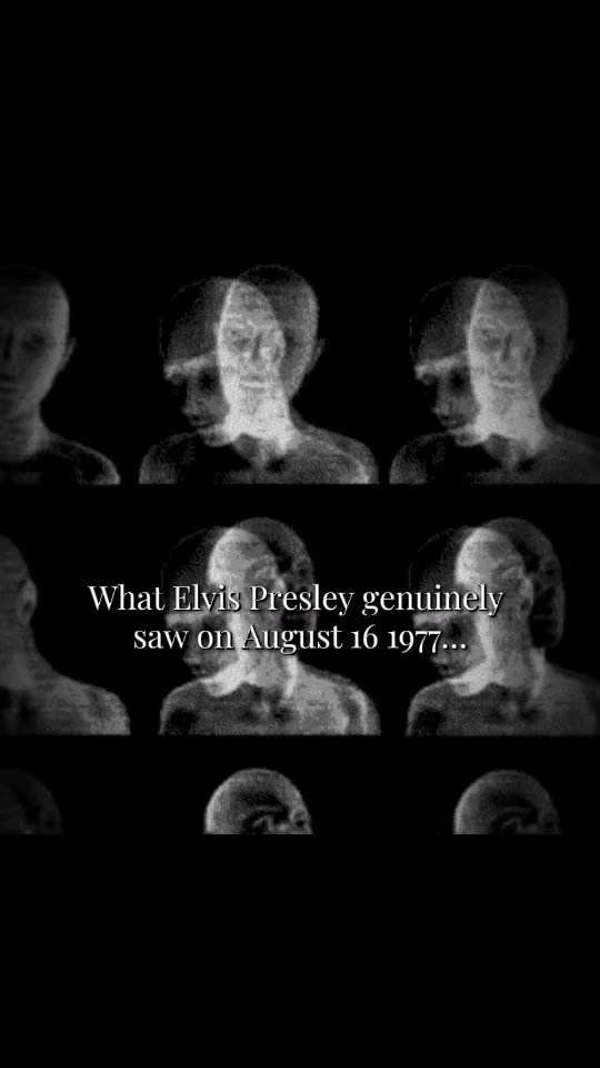 @𝓟𝓻𝓲𝓷𝓬𝓮𝓼𝓼