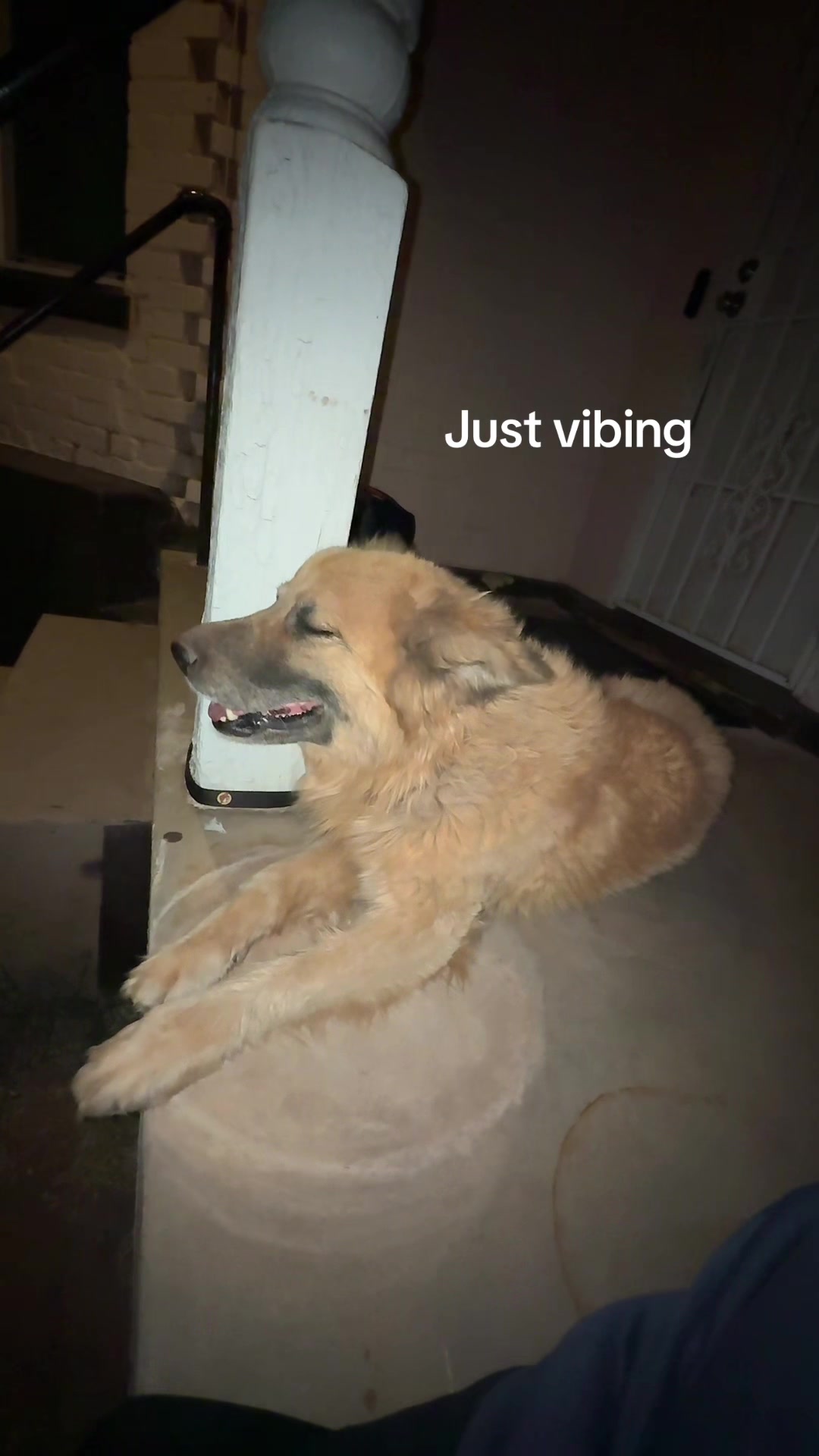 @Dubcwicked