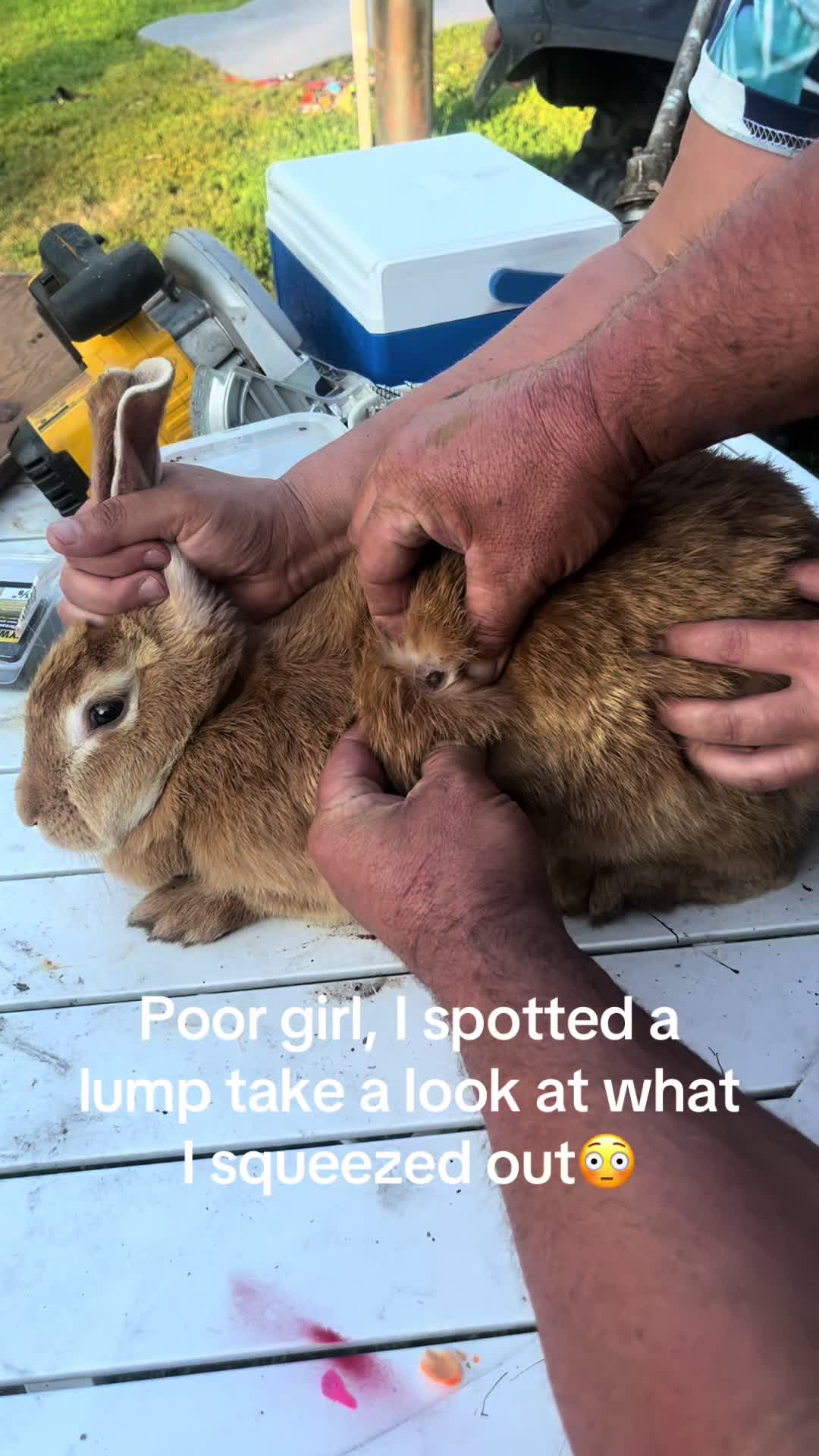 @derouchiechris