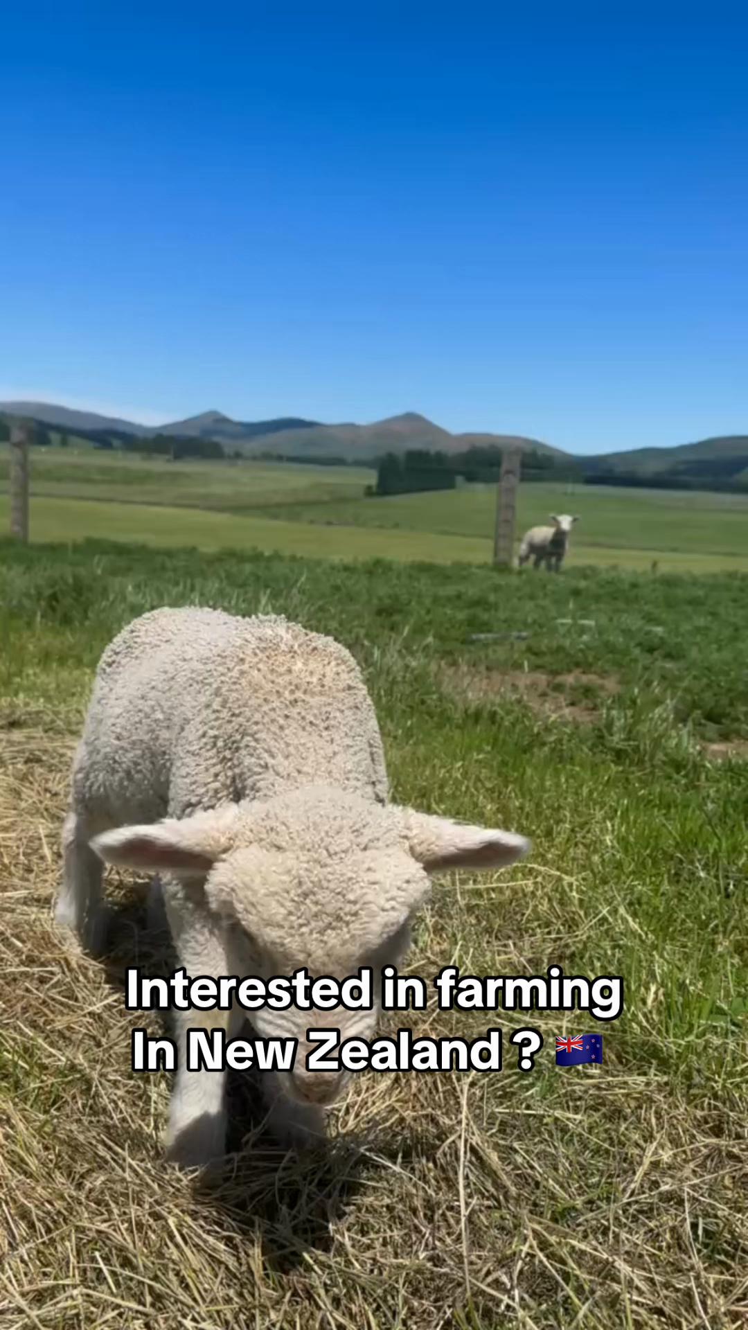 @Agribridge Recruitment
