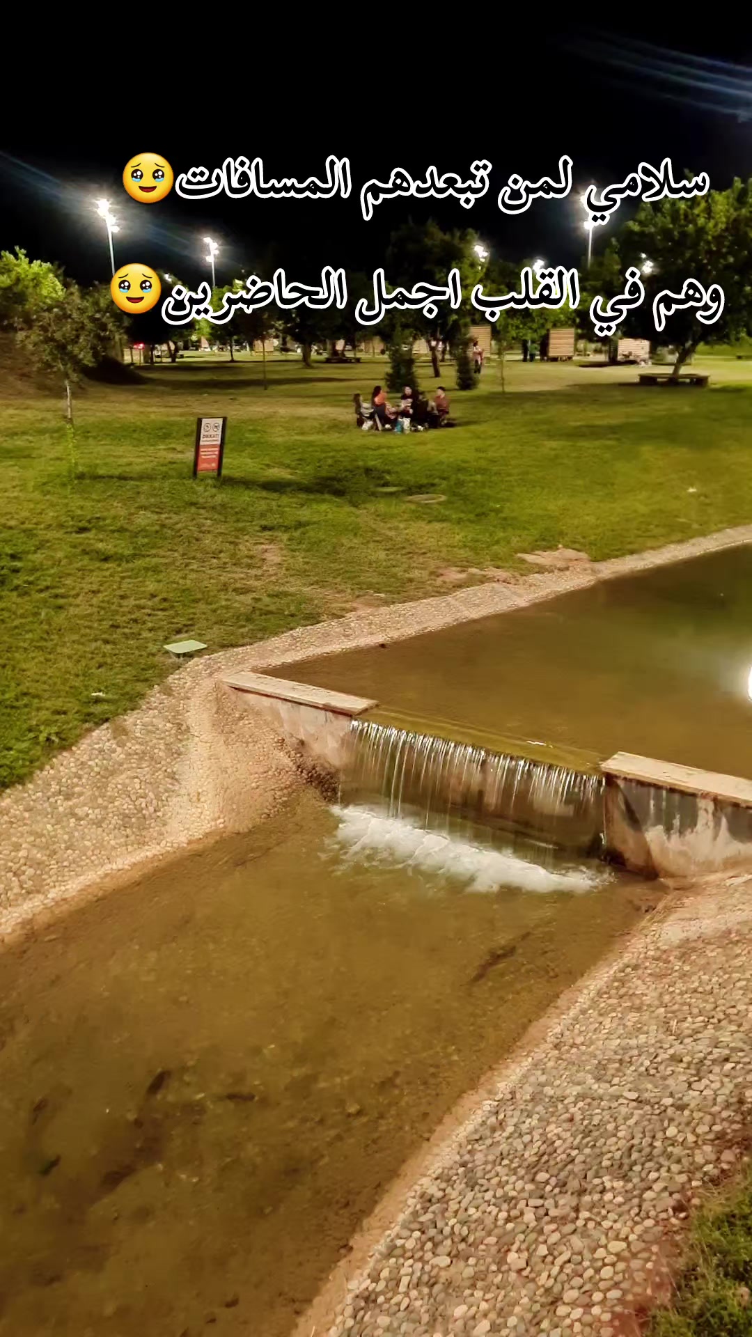 @سيرين الحامد
