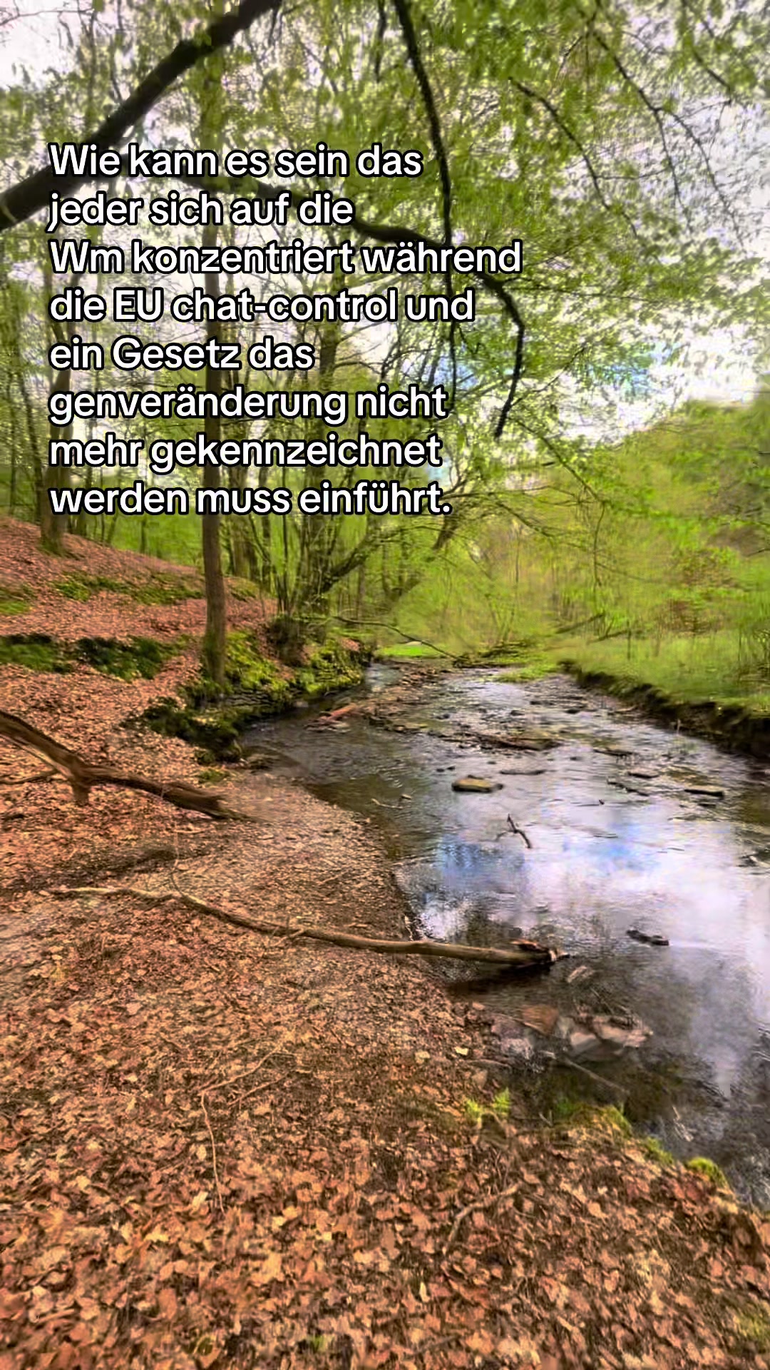 @ᛏᛁᛏᚢᛋ 🌞🌲🏔️ᛉ