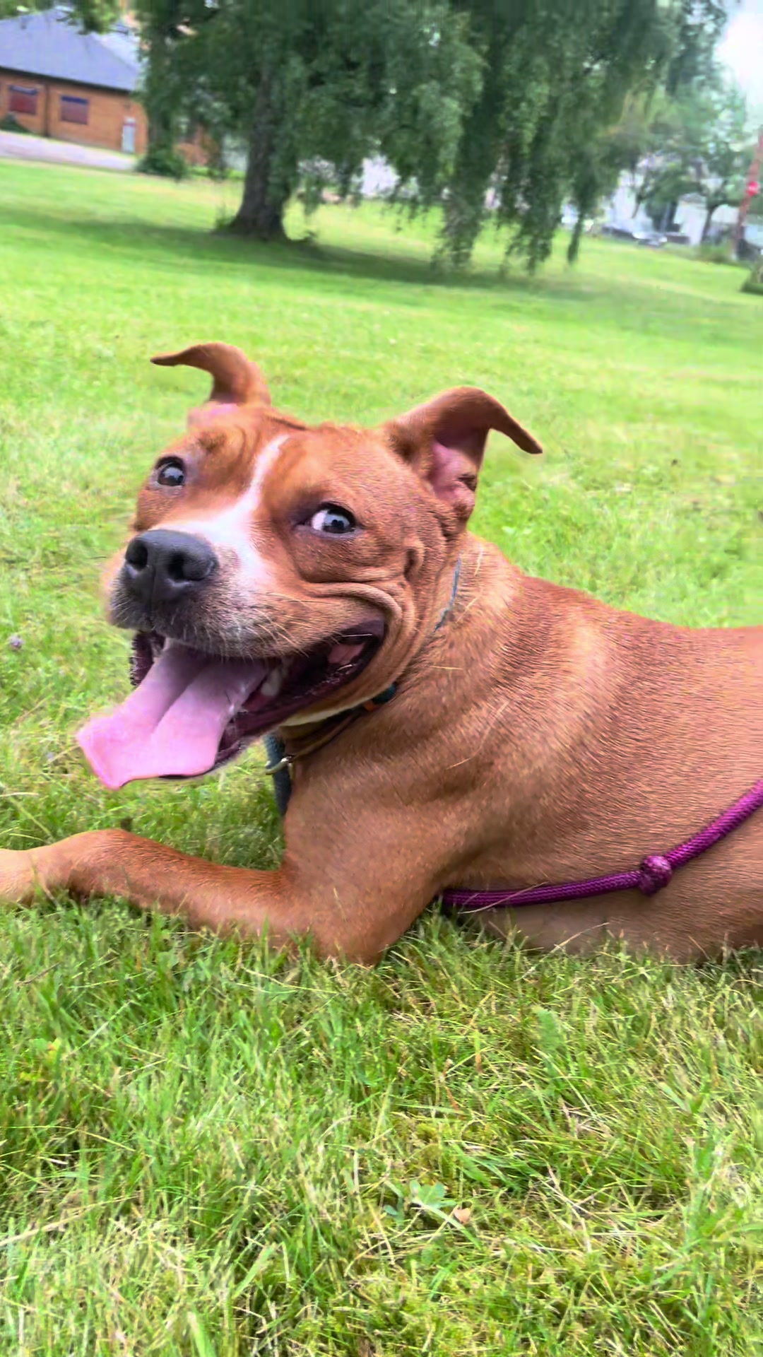 @Britney.paws🐾✨