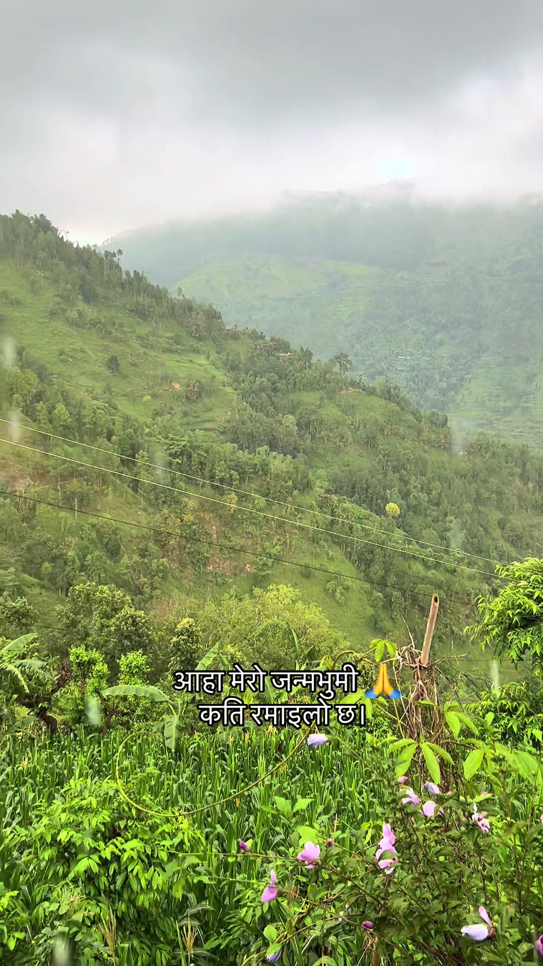 @ʙɪᴍᴀʟ💫कान्छो