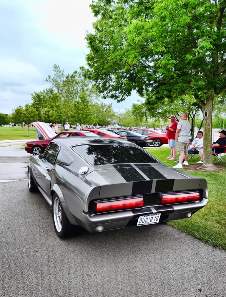 @Mustang / Muscle (USA)
