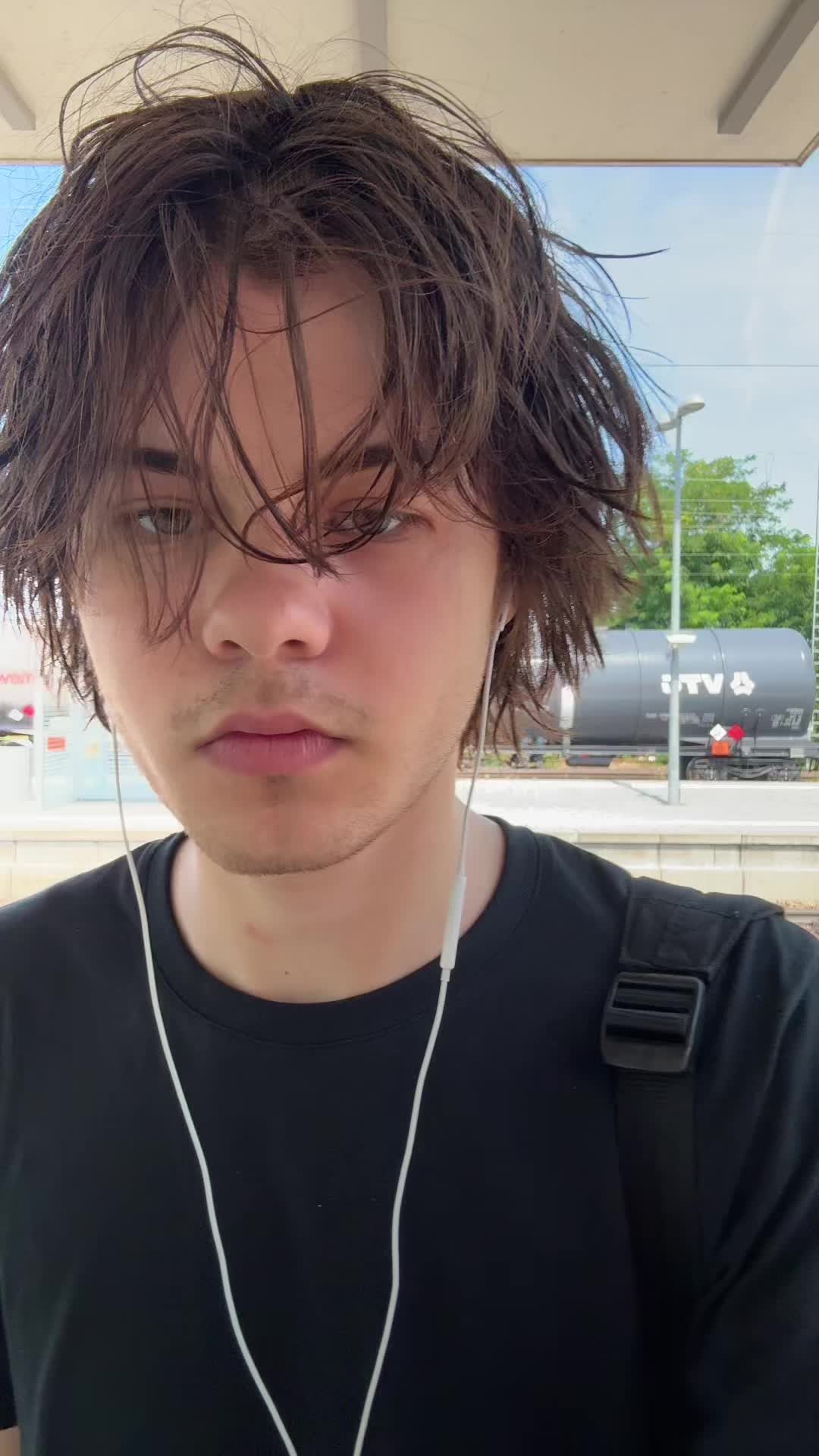 @shicedd
