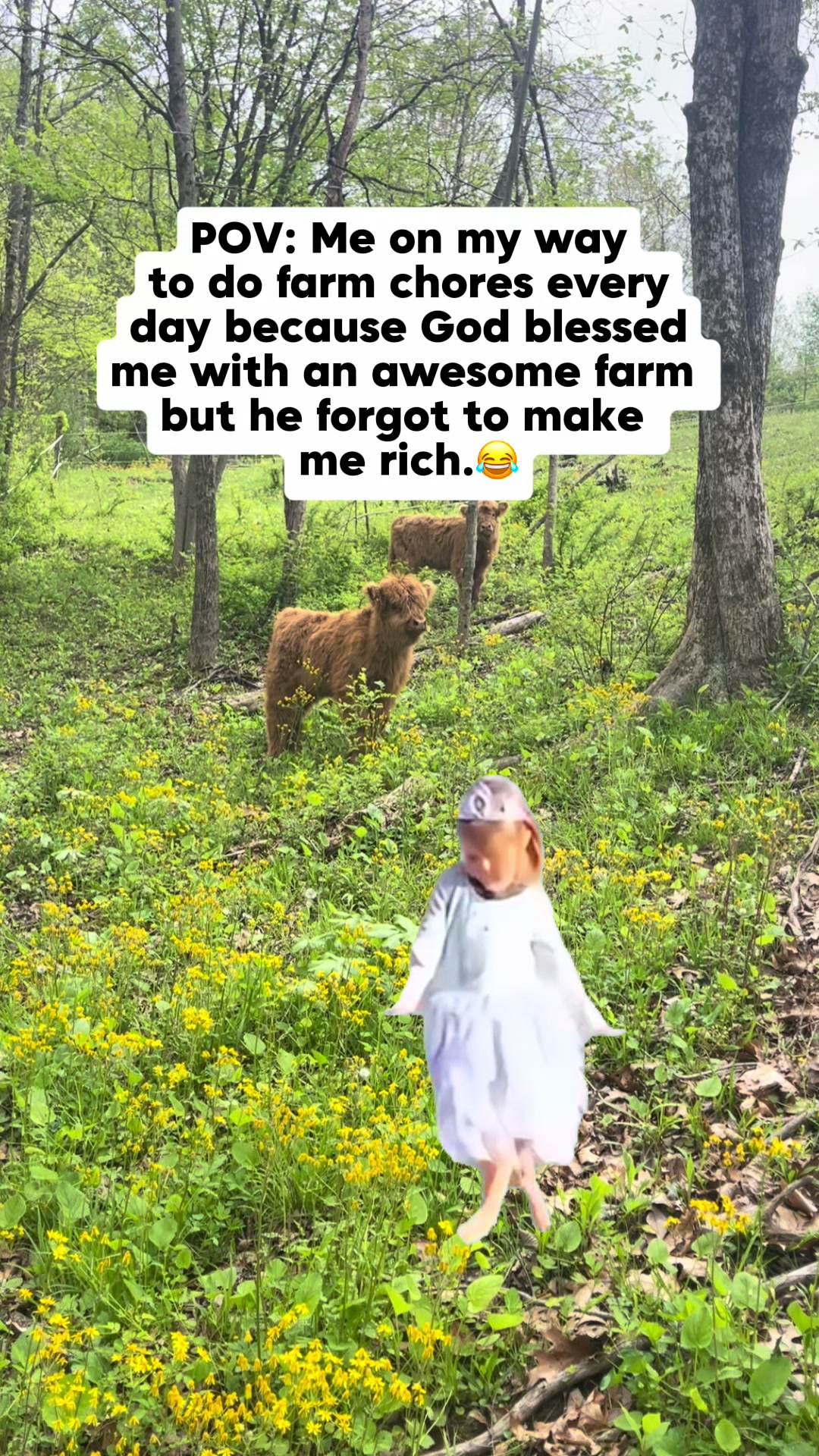 @Gypsy Rose Farm, LLC