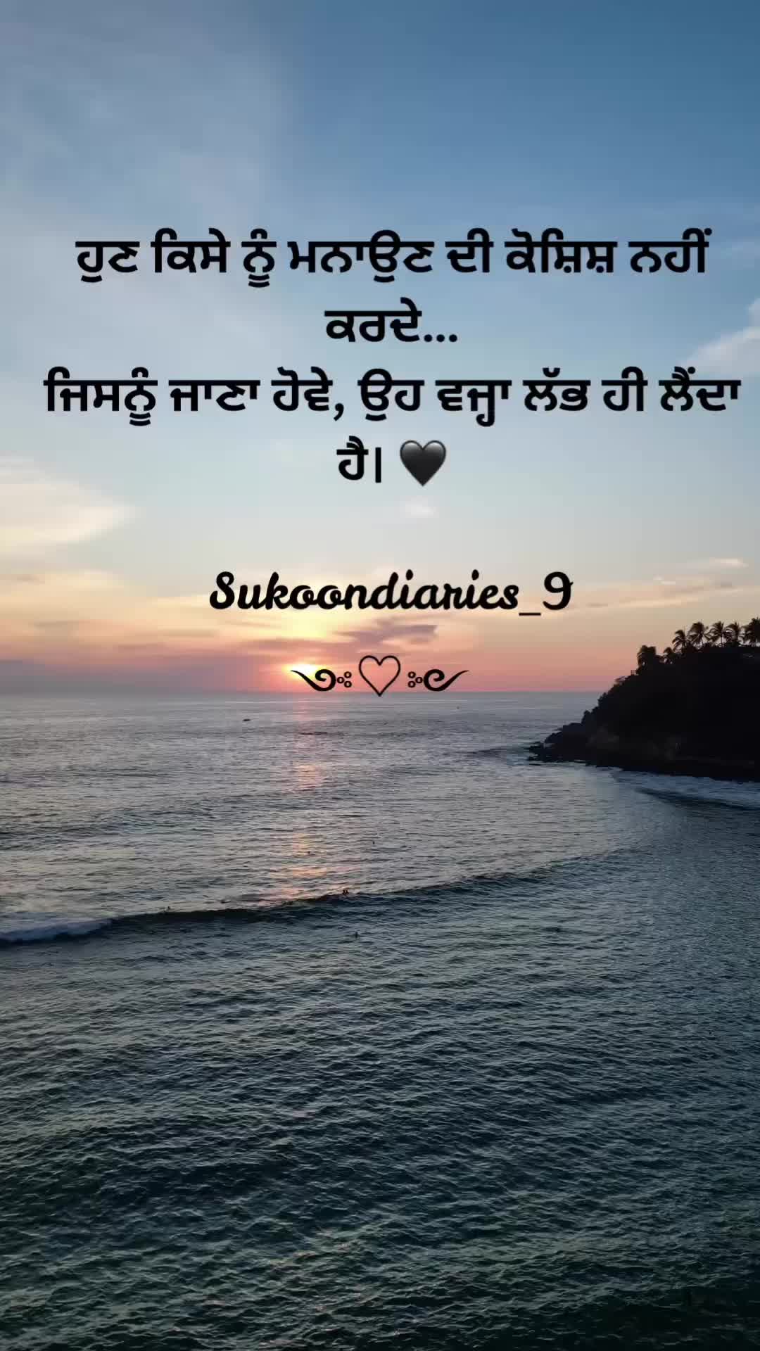 @Sukoon Diaries 🕊️