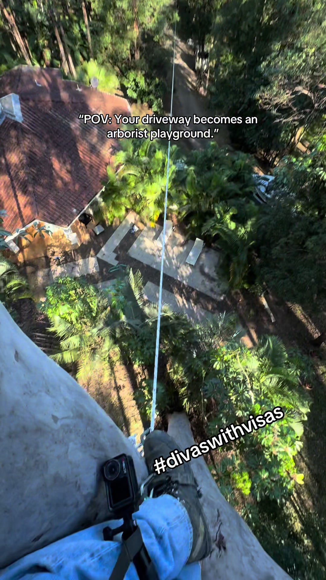 @LumberJackTravels