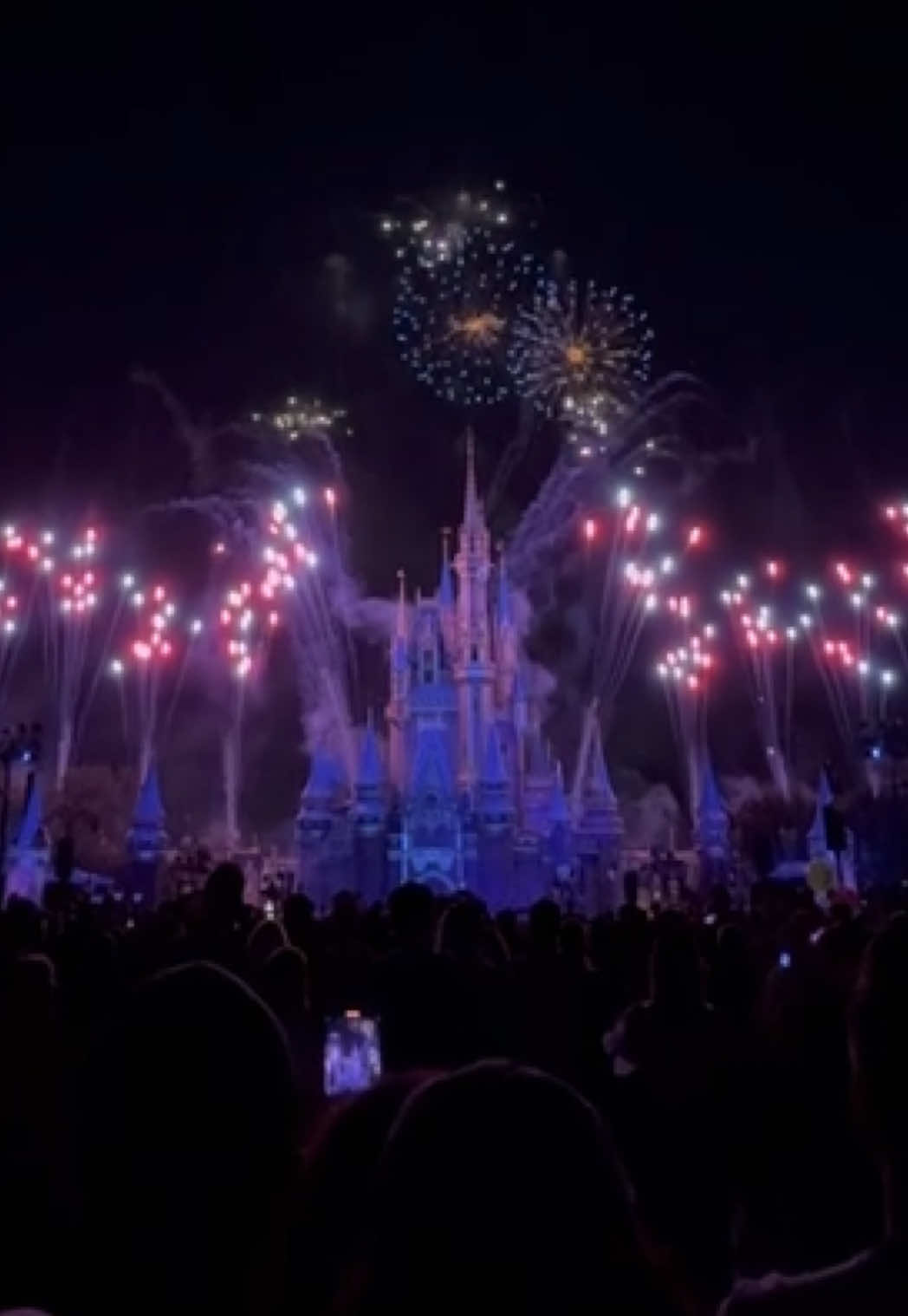 @Disney Dreamer