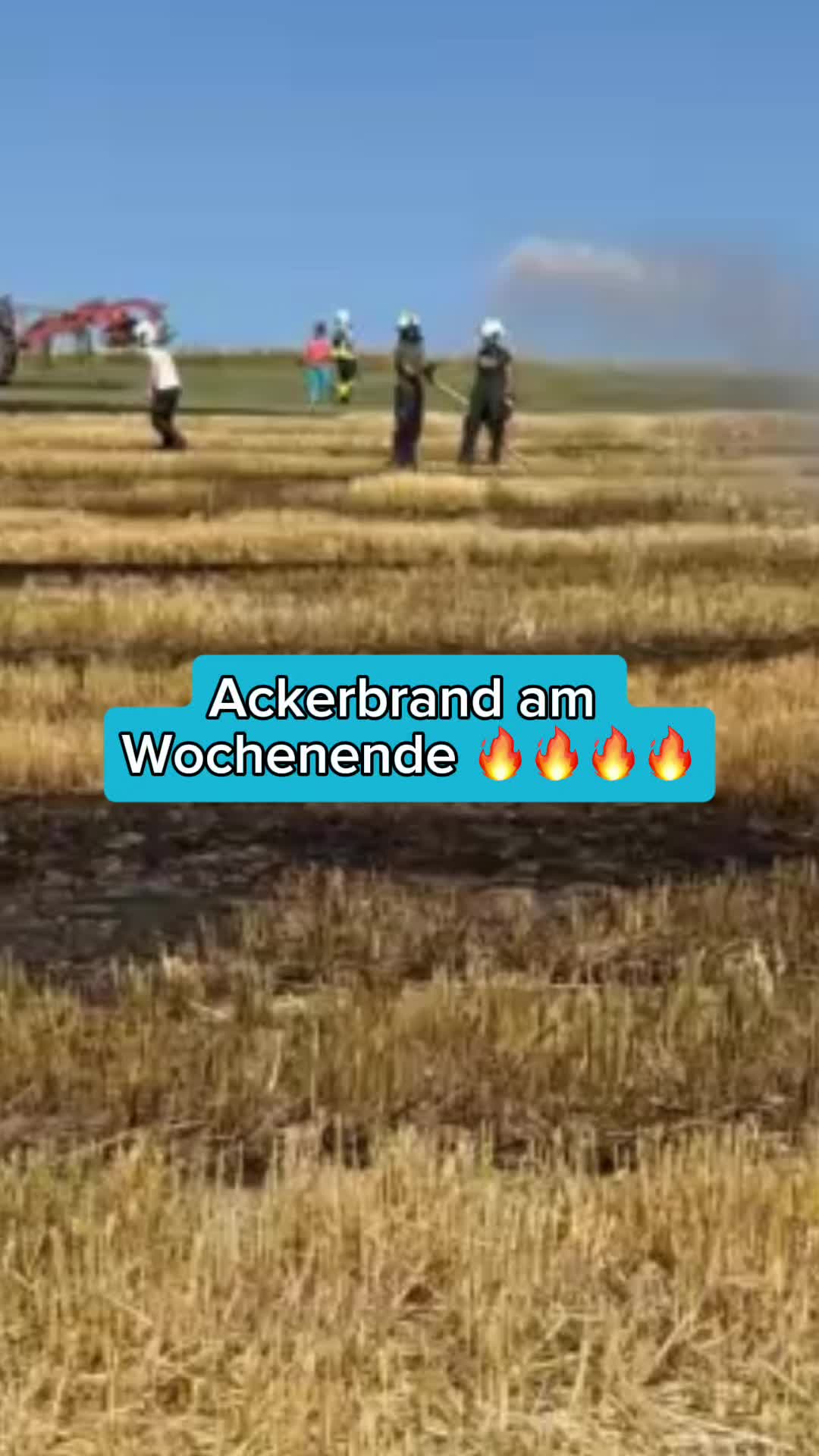 @Schwenks-Hofleben | SWR Heimat