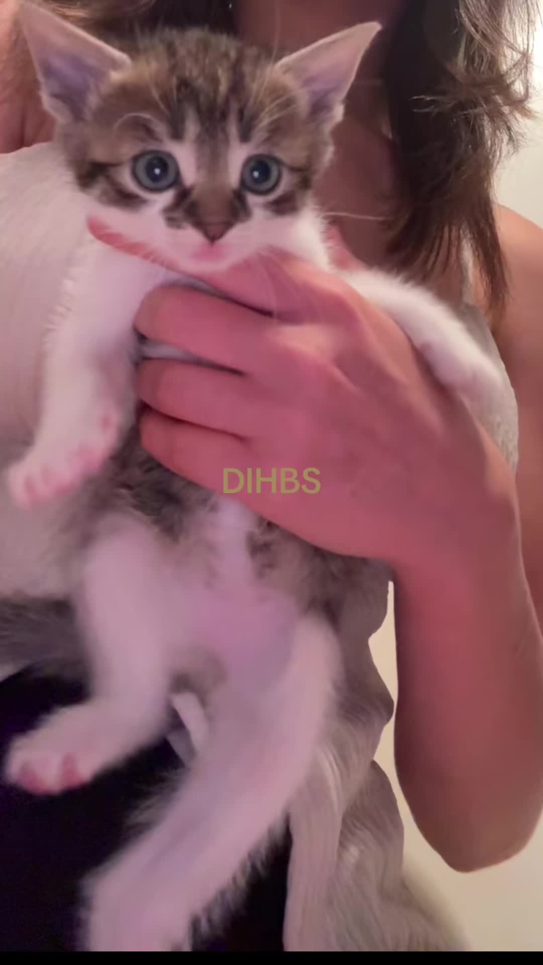 @𝐇𝐀𝐍𝐍𝐀𝐇𝐋𝐔𝐈𝐒𝐈𝐄𝐍𝐍𝐄