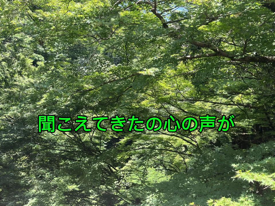 @神奈川大好き🤜💚🤛