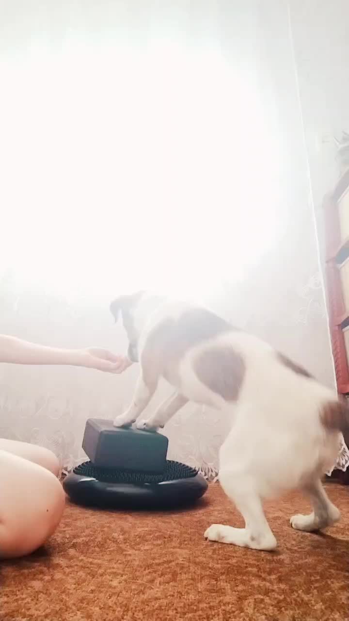 @𝘑𝘦𝘳𝘳𝘺🥏𝘢𝘪𝘳