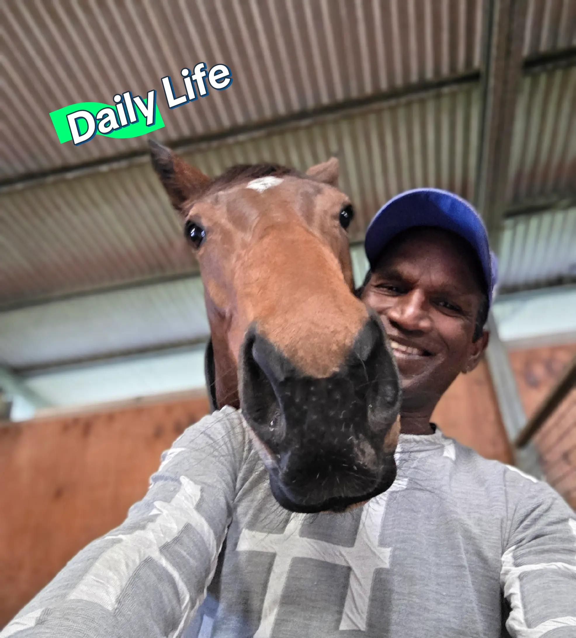 @kevin 🏆🏇🏇🏇🏆 🇸🇬🇲🇾🇳🇿