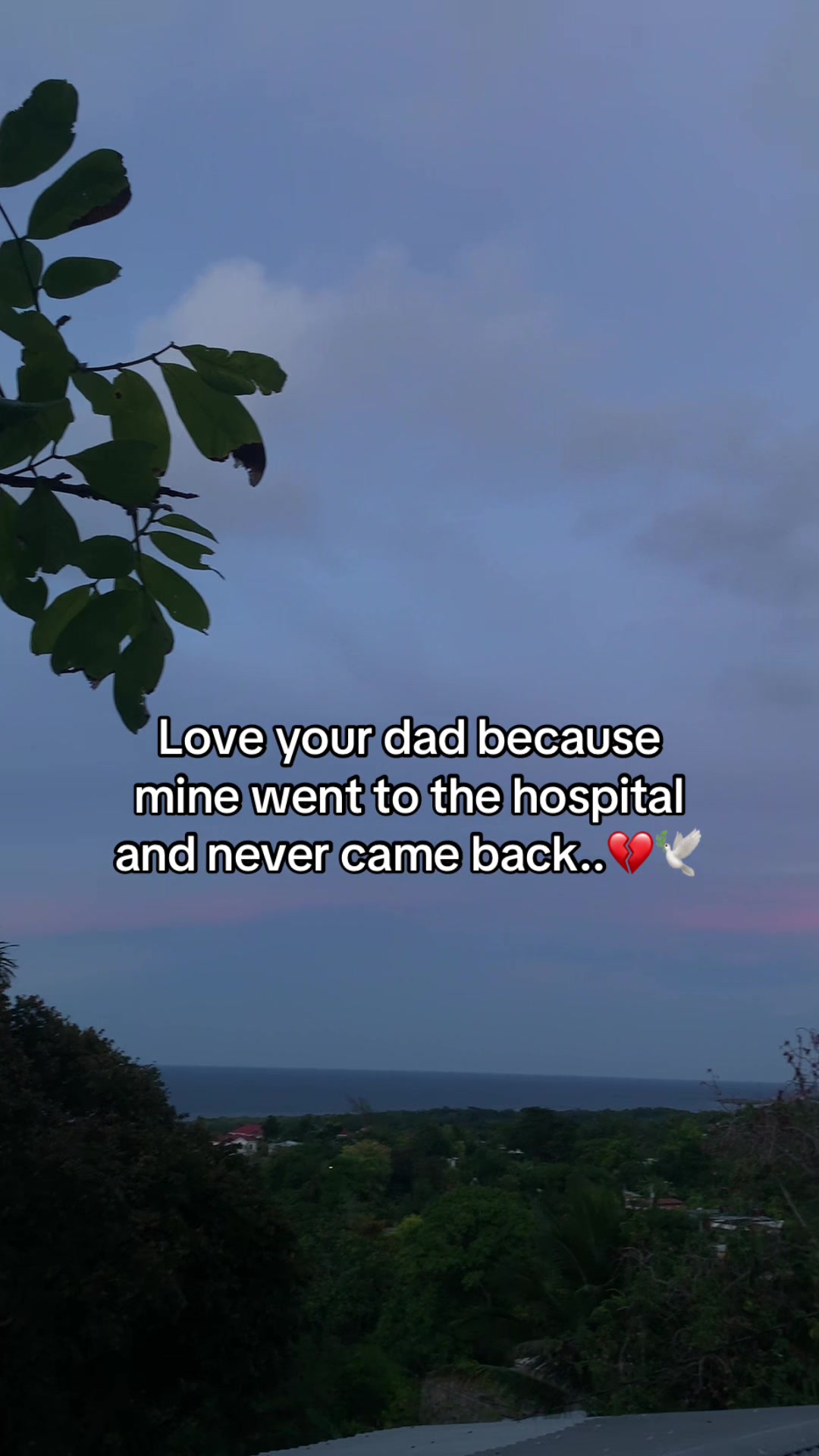 @Mal🕷️💕
