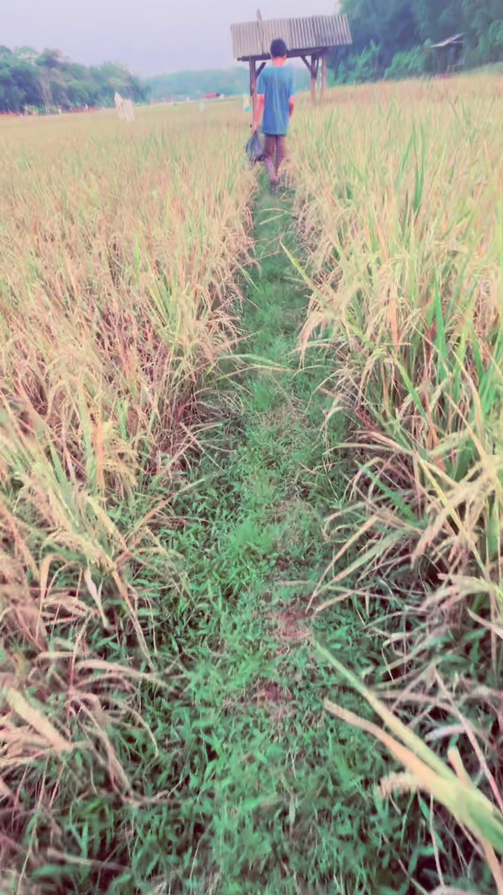 @MamahViera🌾