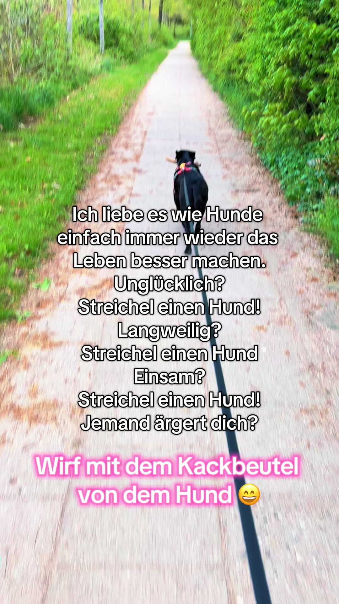 @BLACKY 🐶🐾