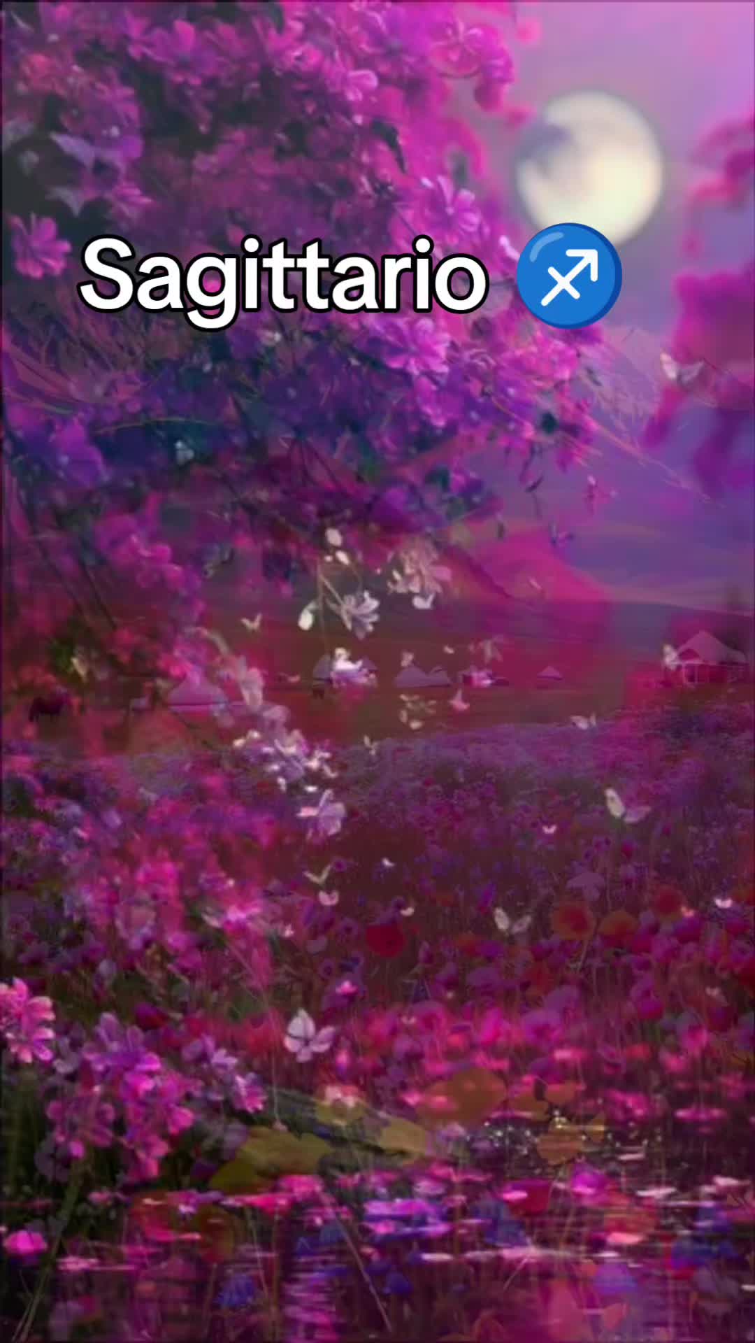 @24kamal2