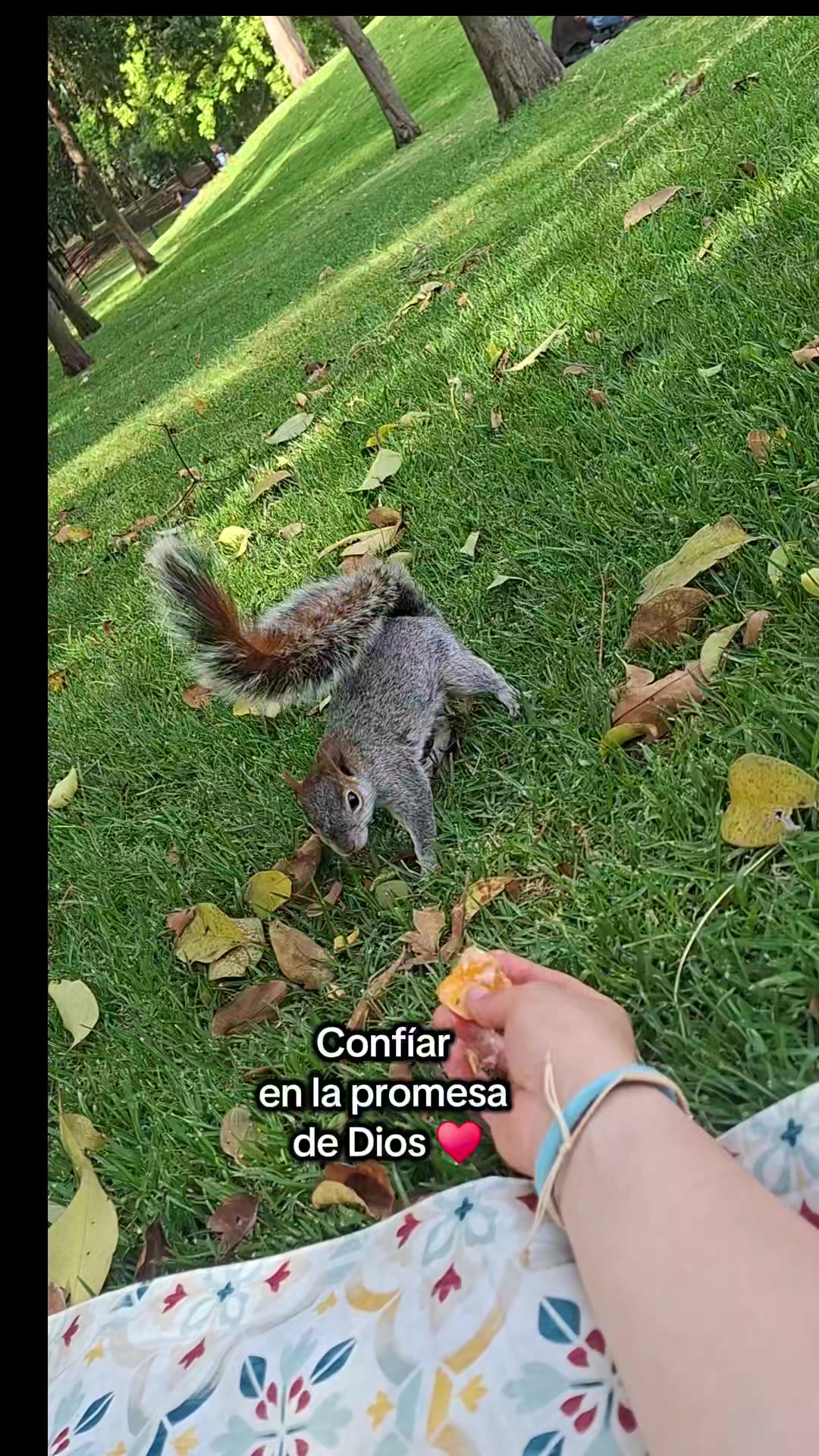 @Tu asesora Mariana Hern&aacute;ndez✨️
