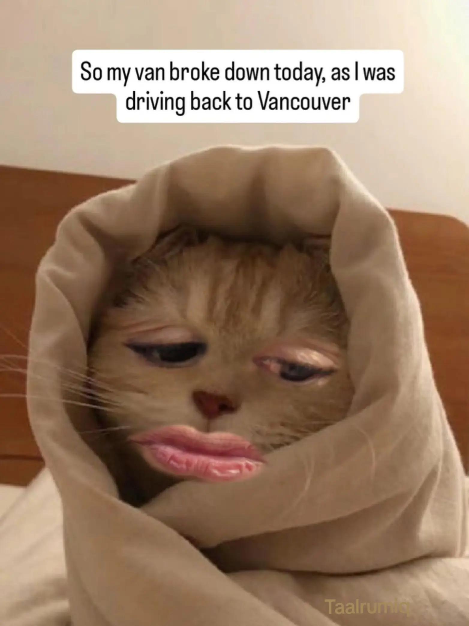 @Taalrumiq