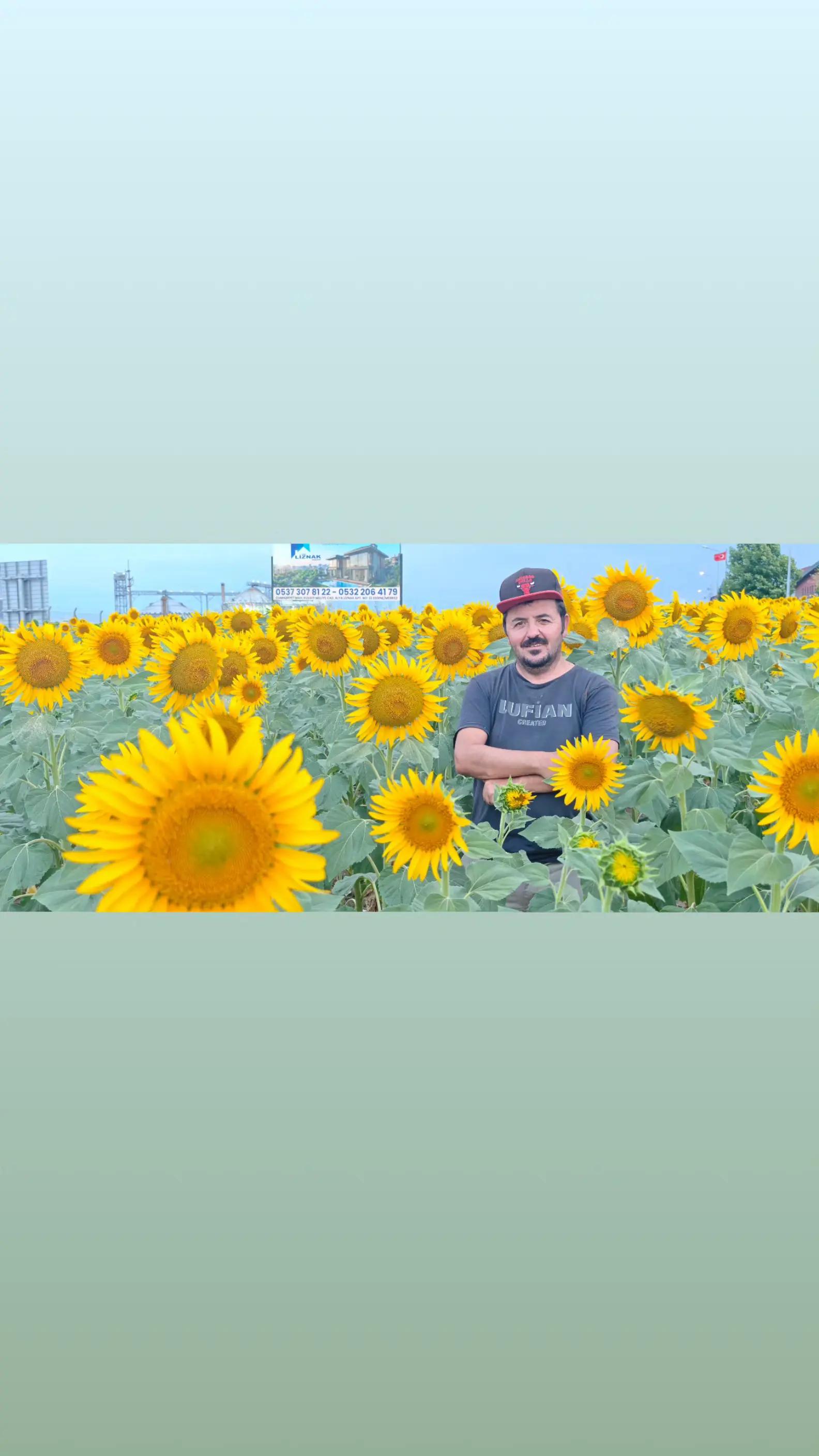 @Galafans