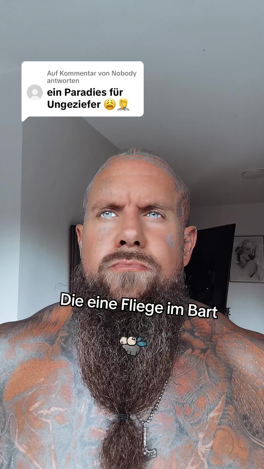 @andykister