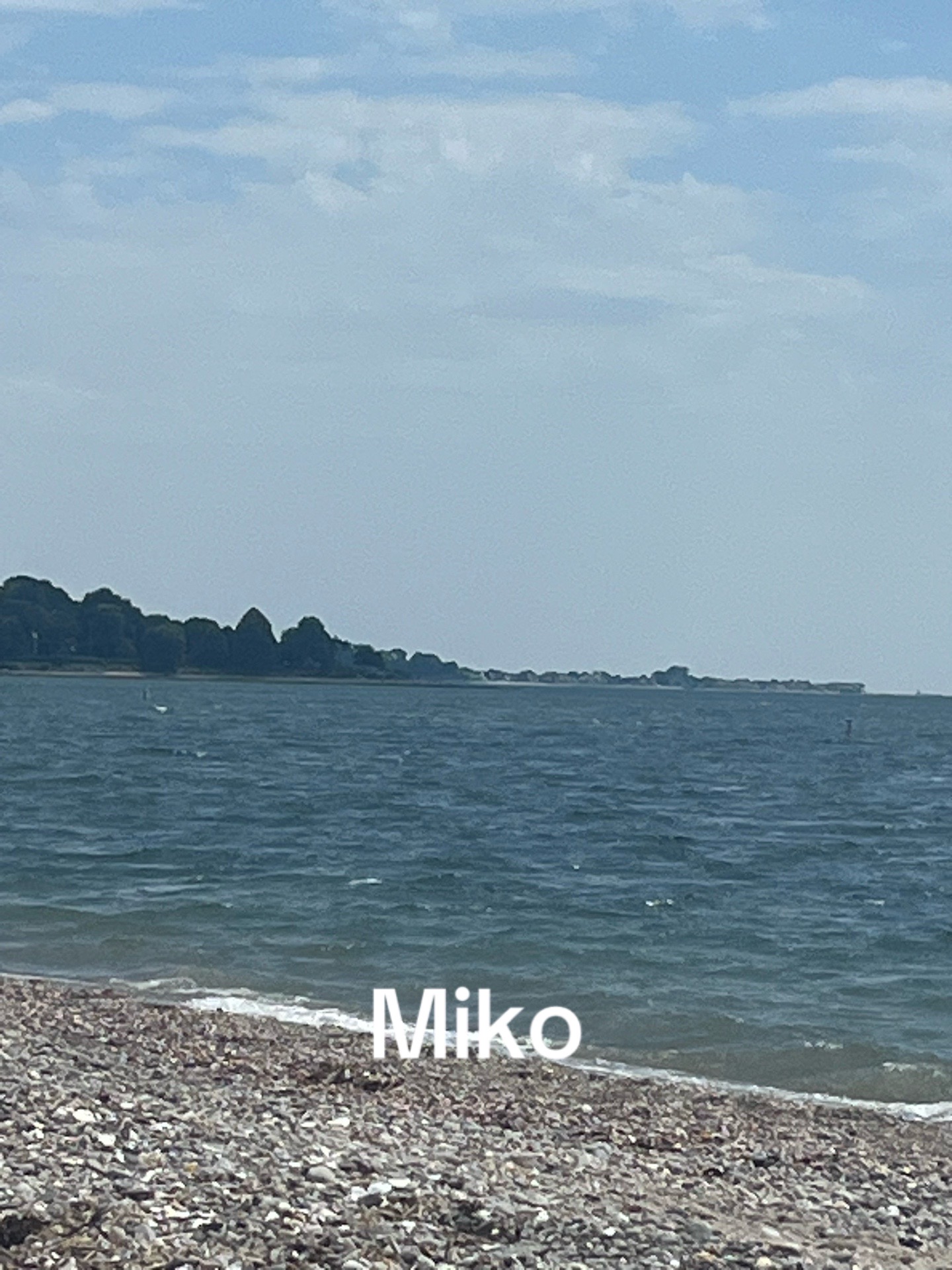 @&sdot;˚₊‧ 𐙚🍩 ‧ miko &sdot;&deg;🍭. &deg; .