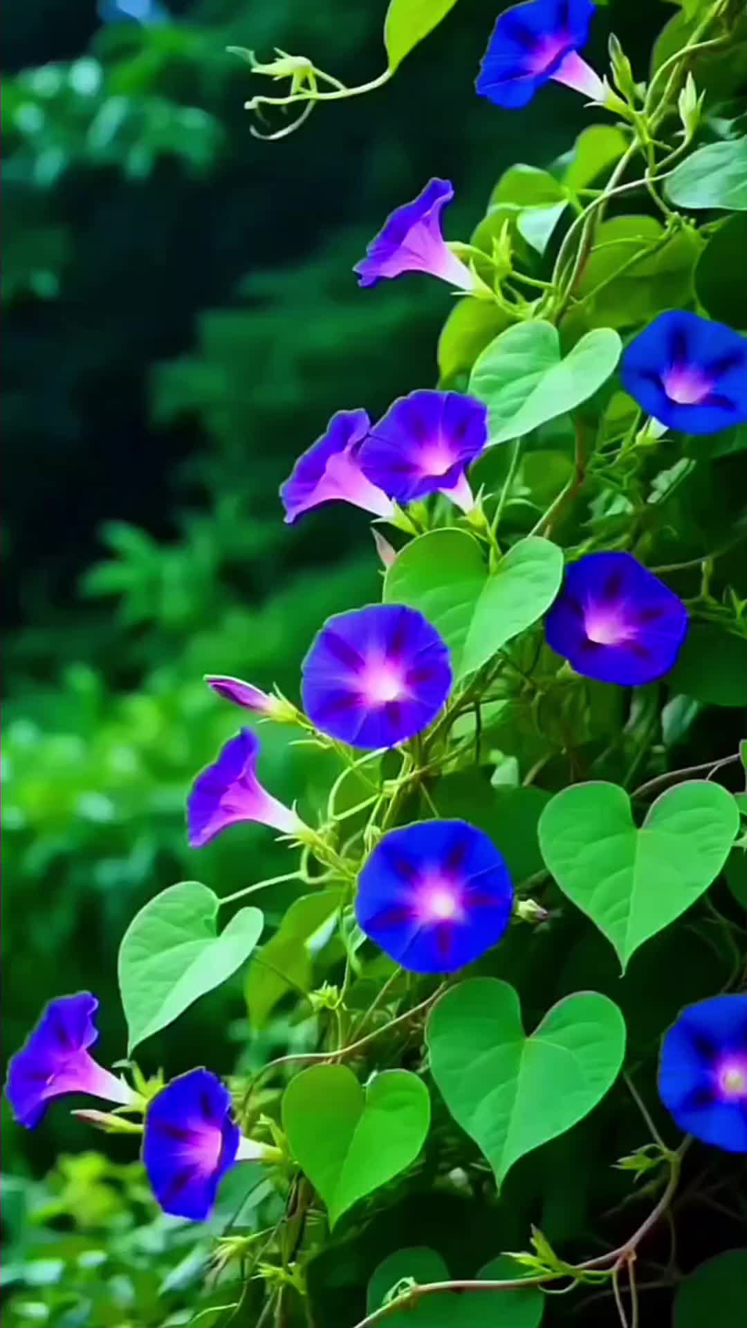 @Катя