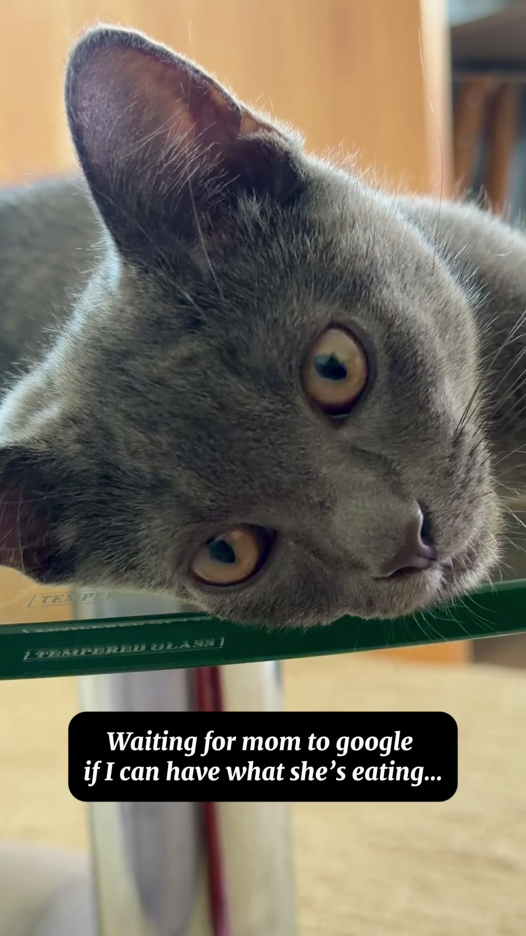@Eevee
