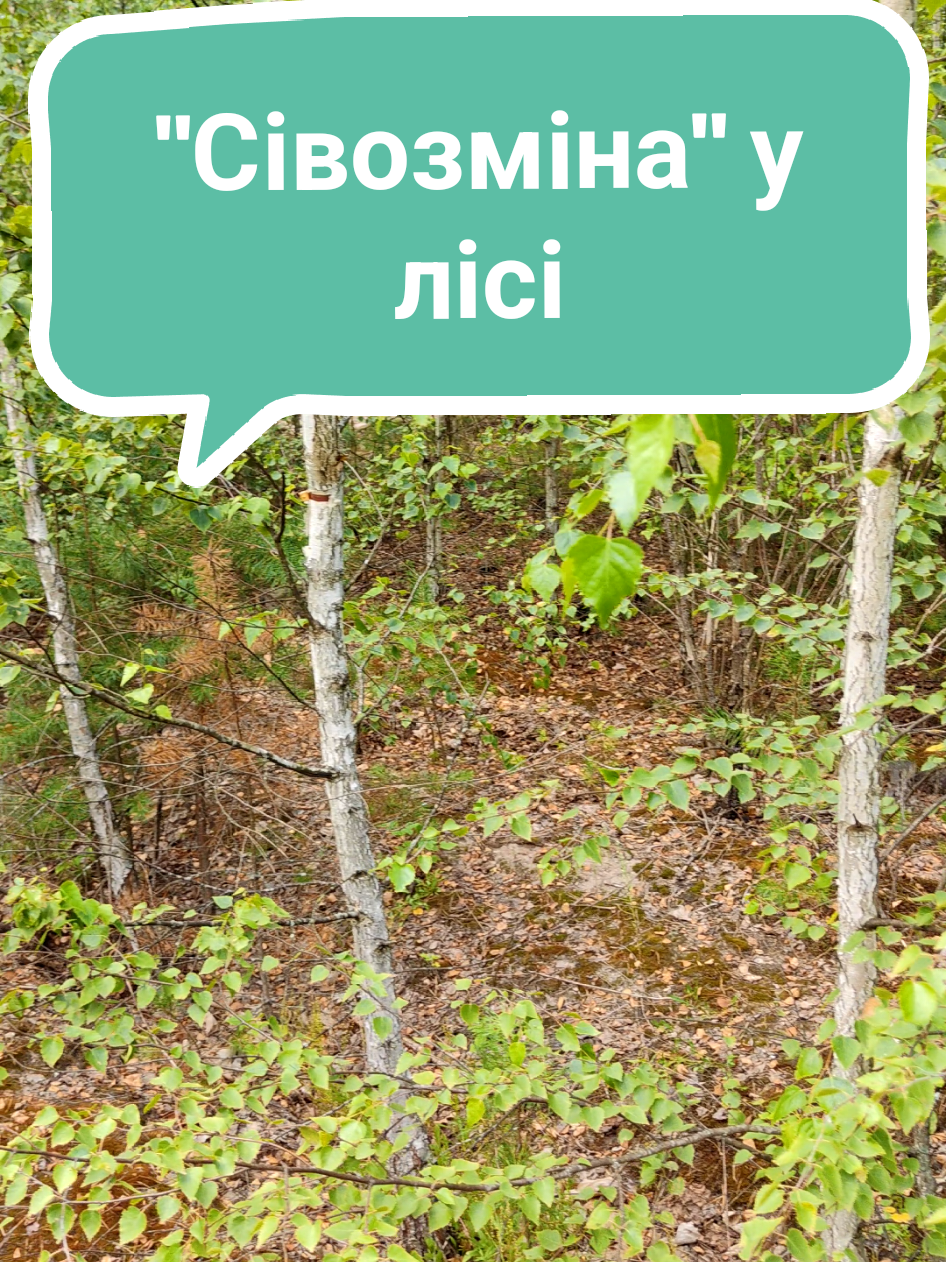 @Юрій Сірук