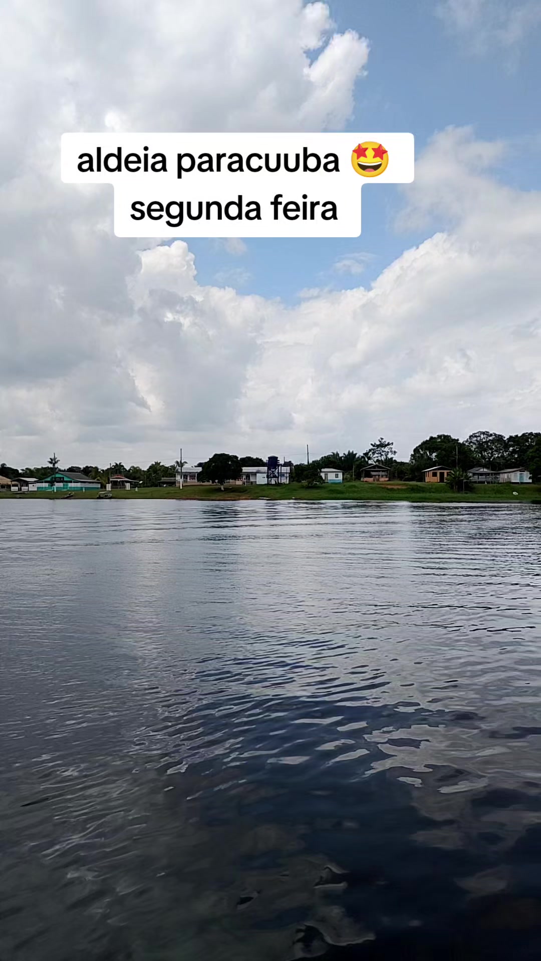 @carol santos