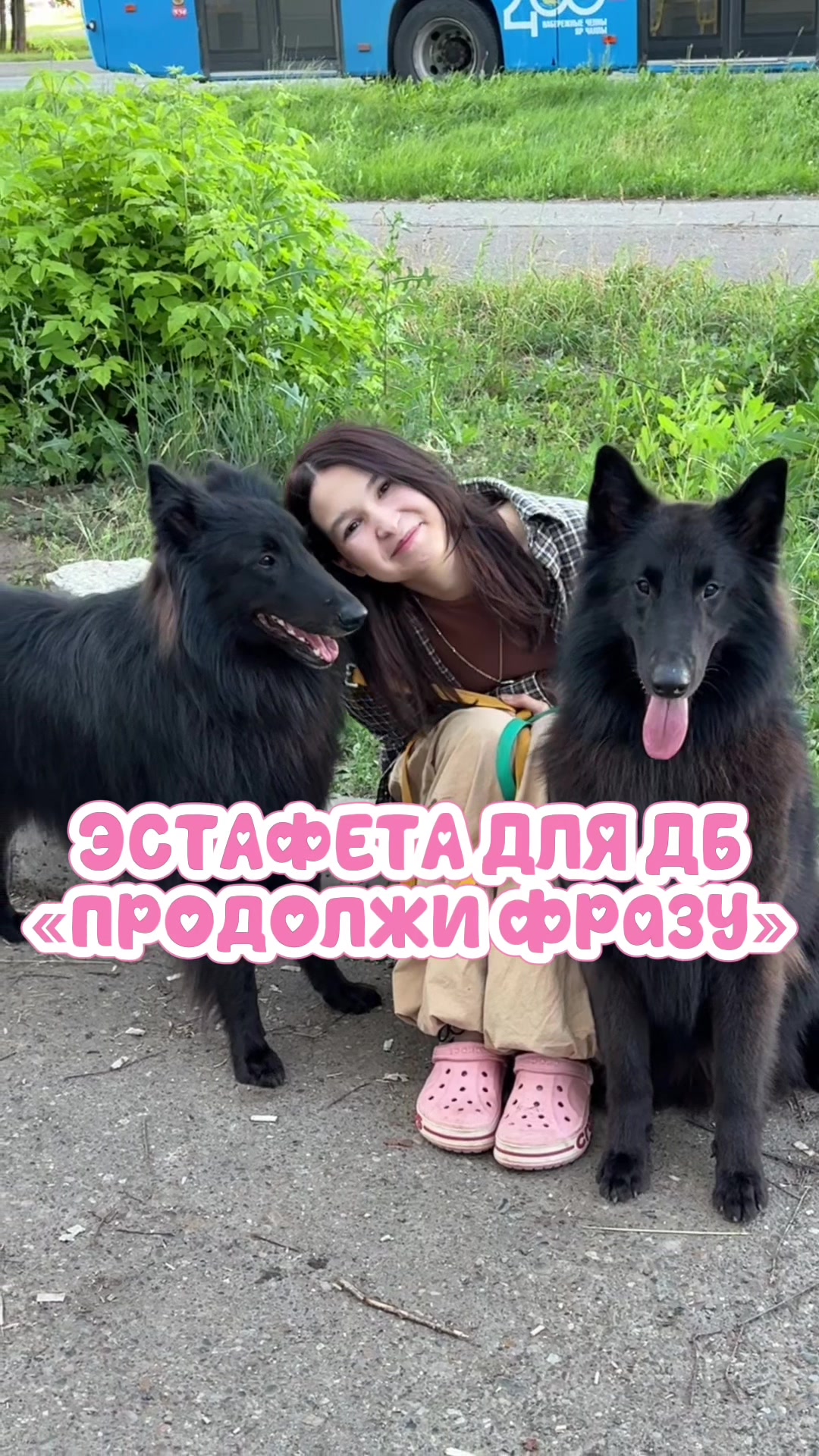 @alaskaa