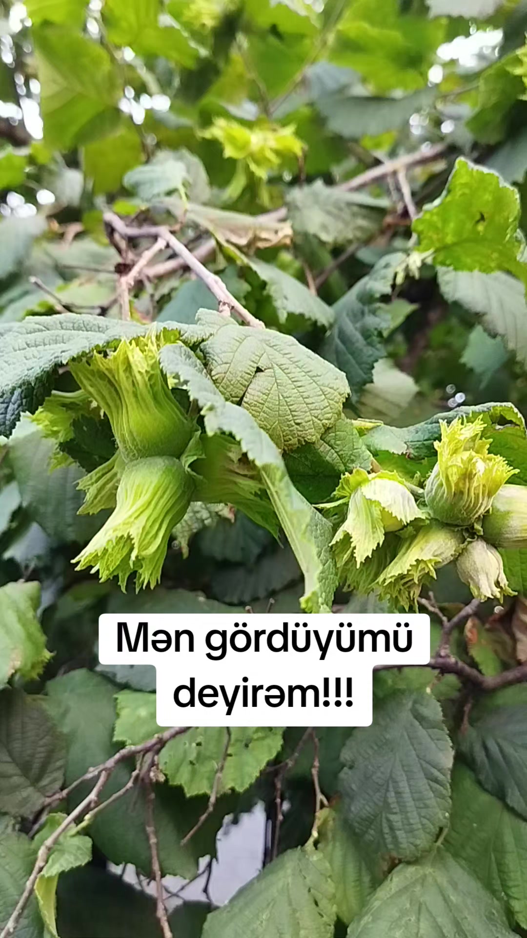 @By İlkan