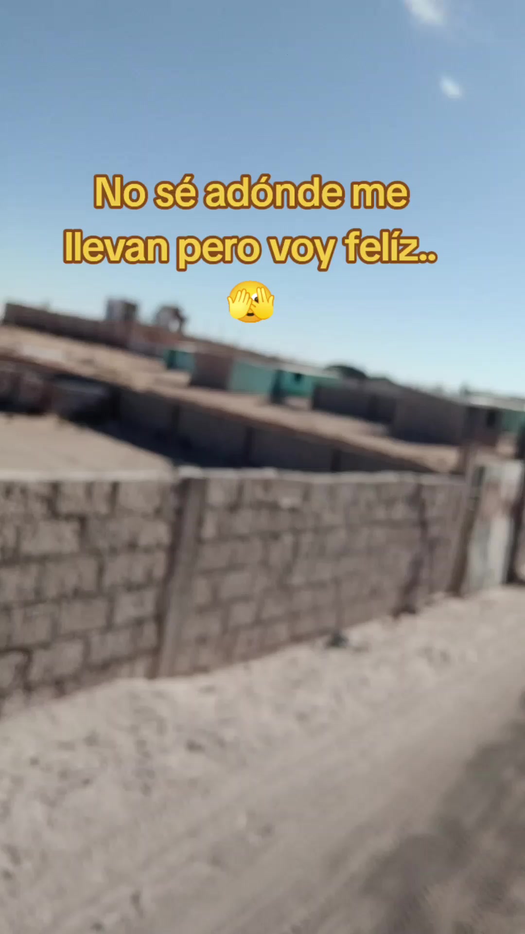 @Lily