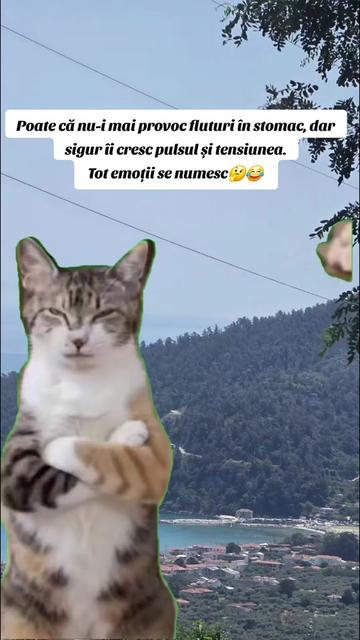@Tasya