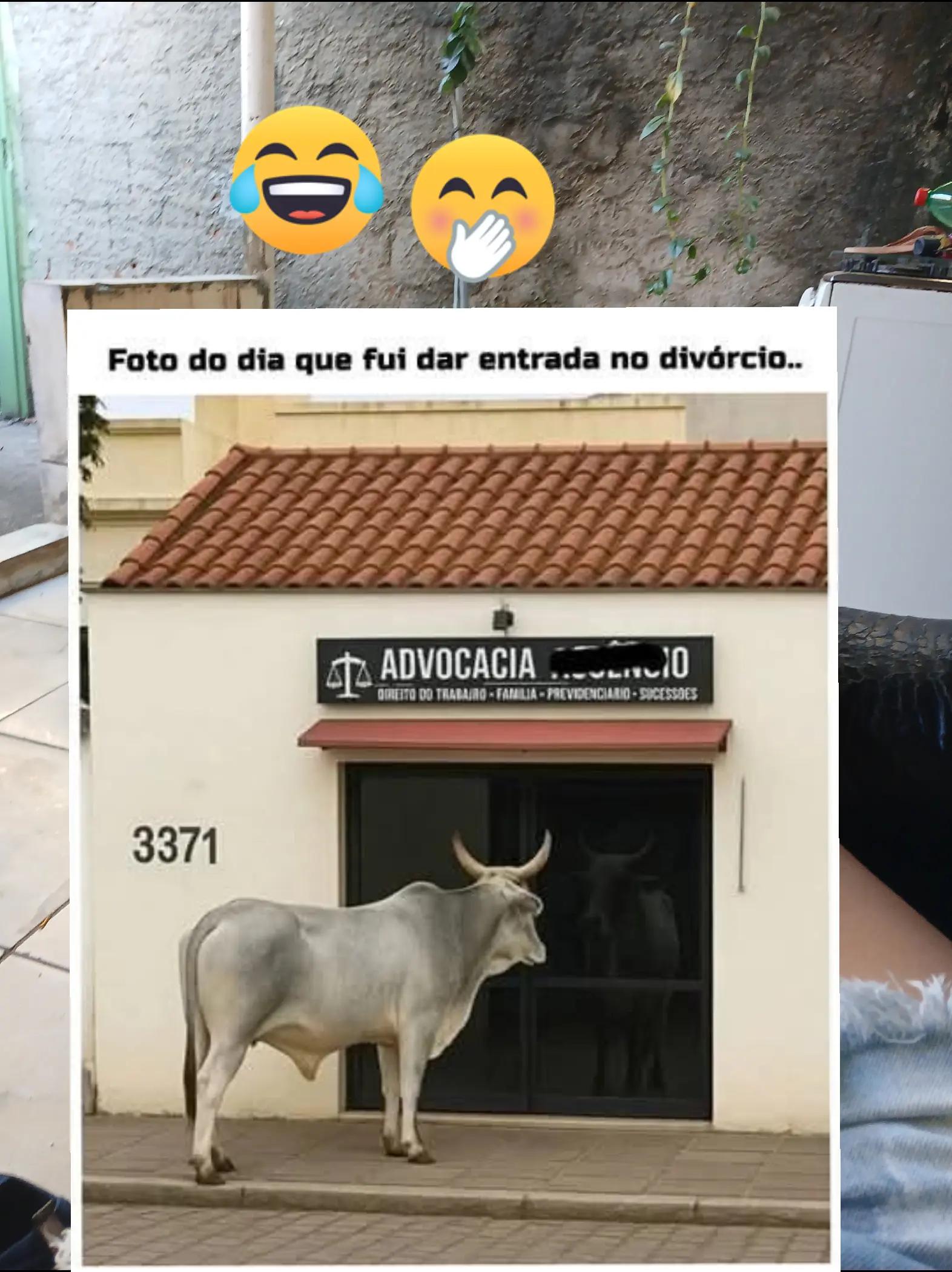 @humor da C&eacute;lia 🤣