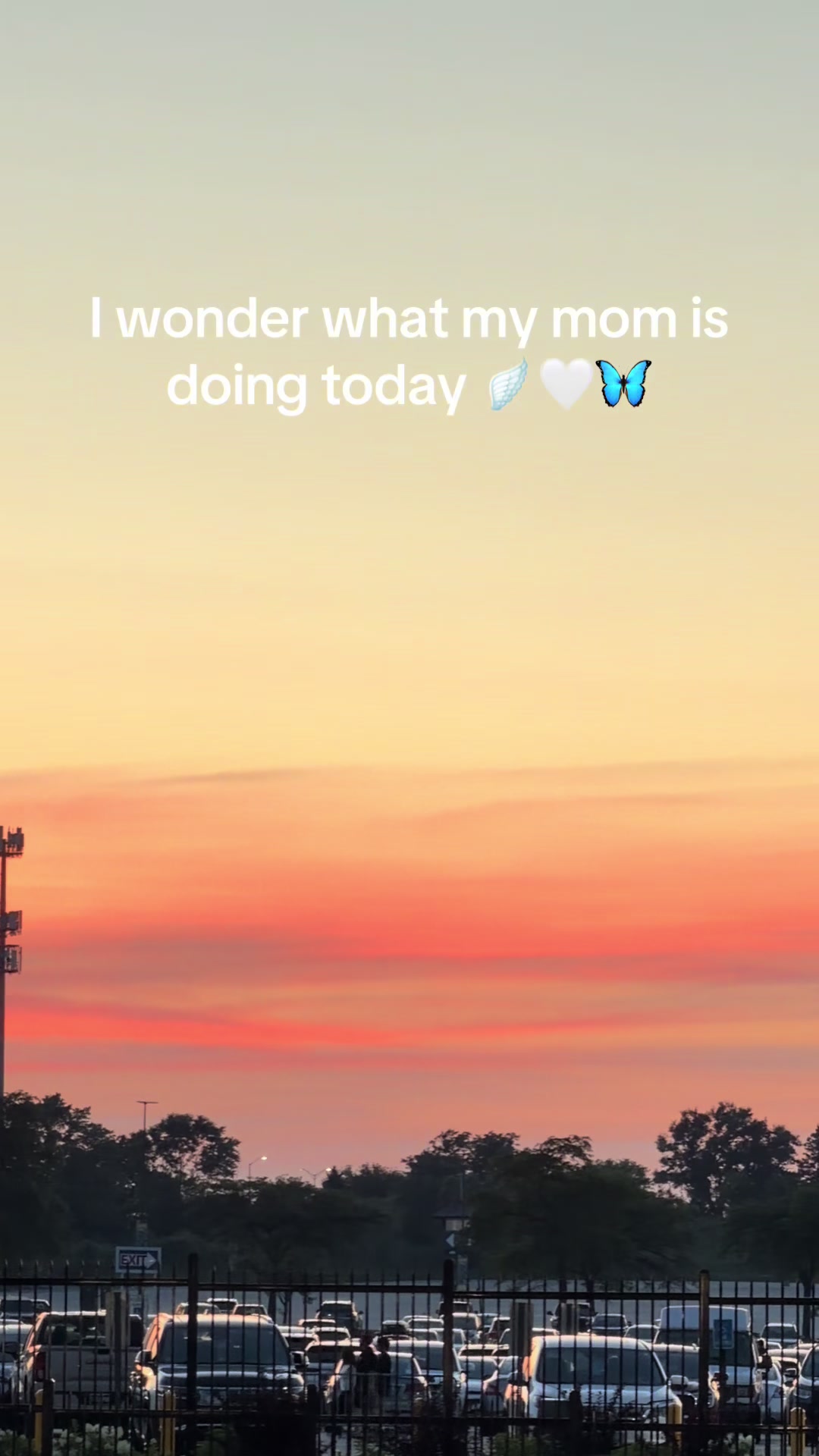 @Sending Butterflies Diary