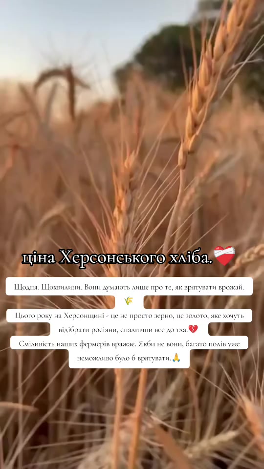 @🌙🩵person from Kherson🩵🌙