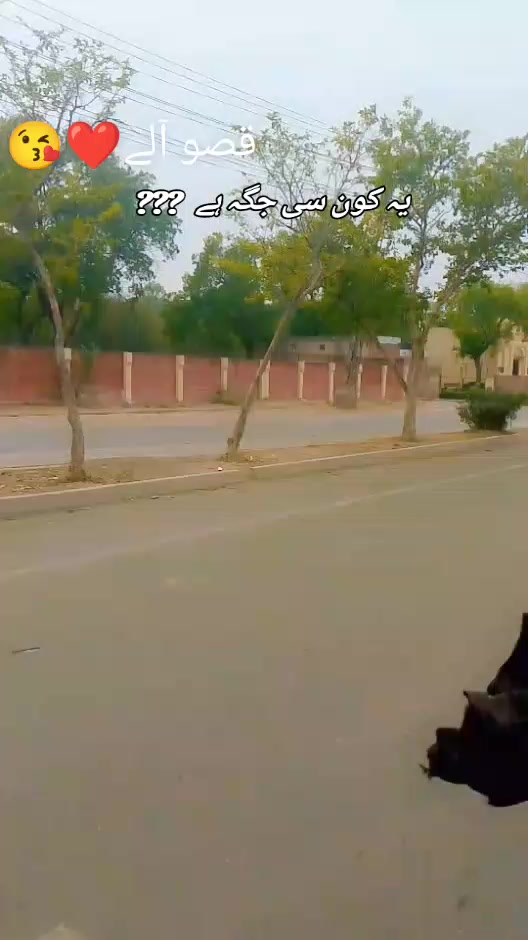 @Sania jani
