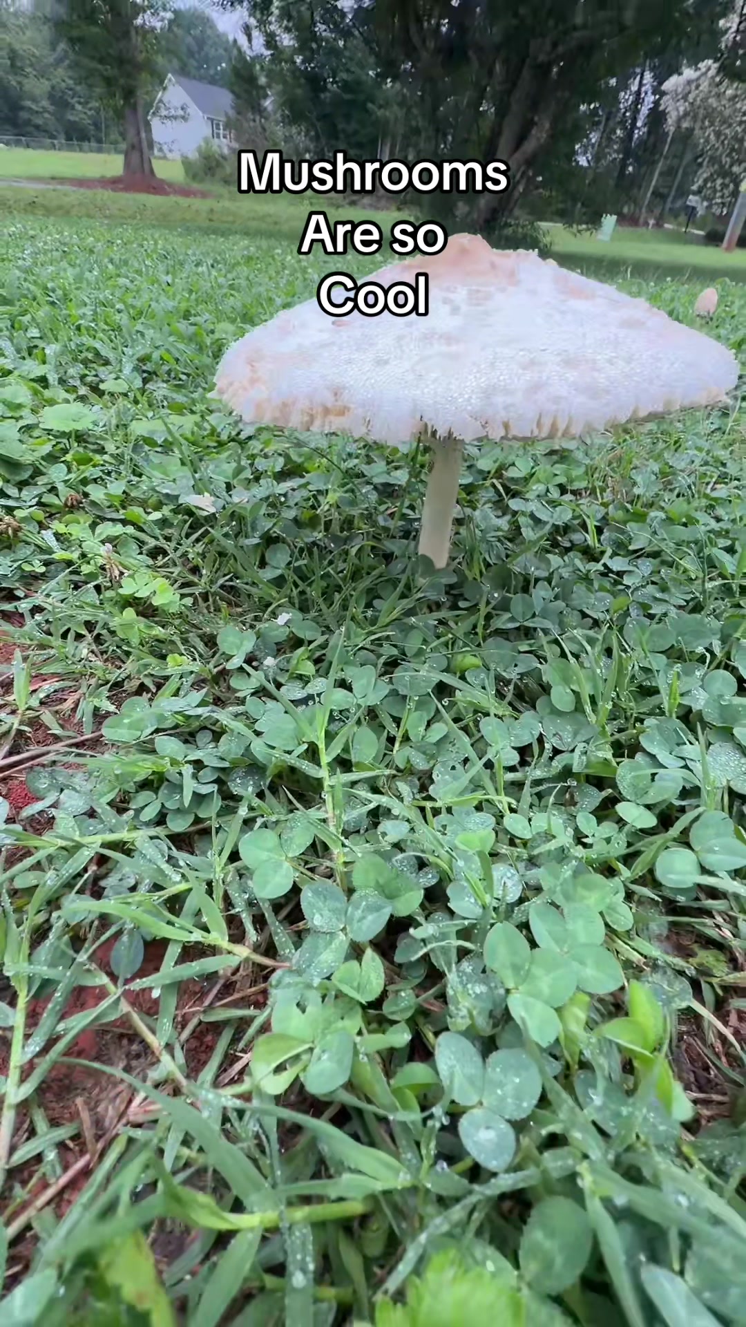 @Bleighve1112