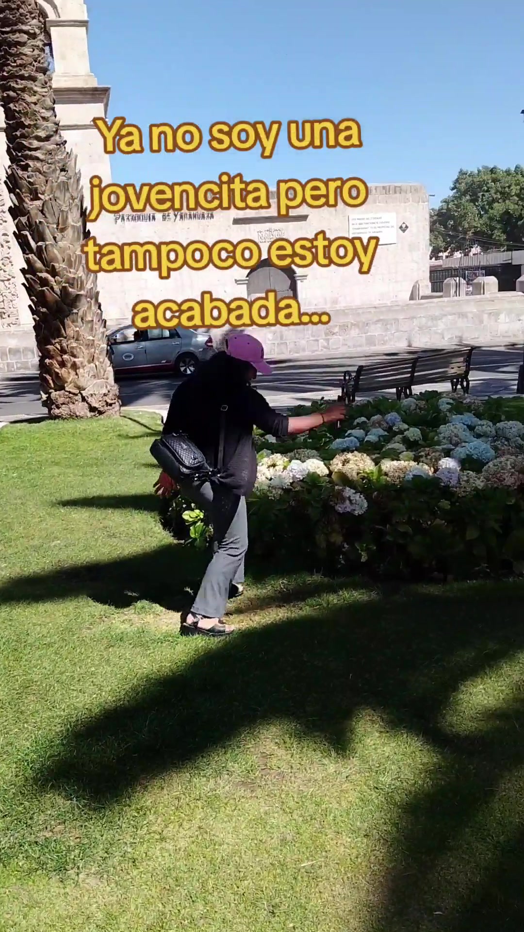 @Lily