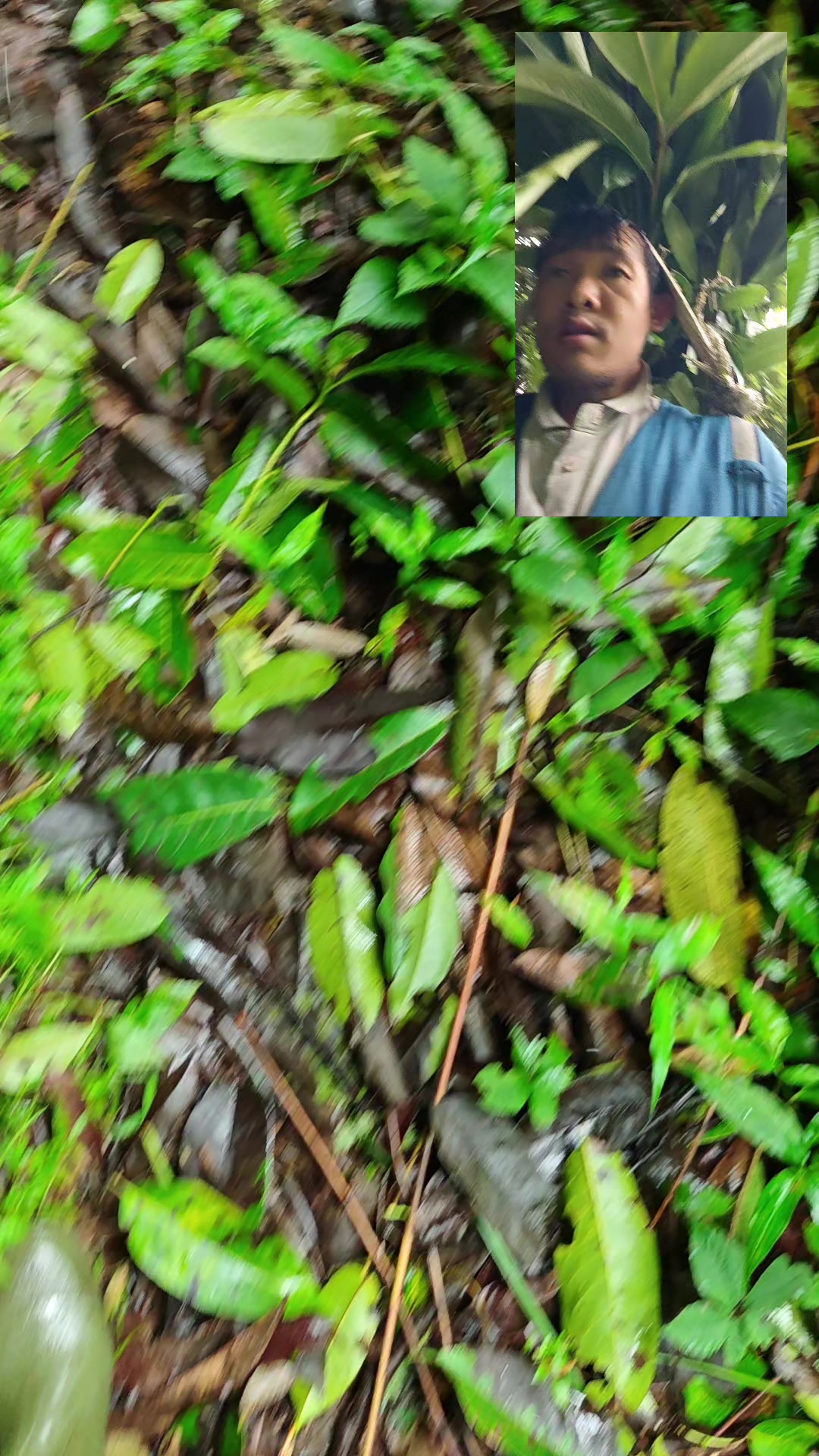 @Niraj Rai