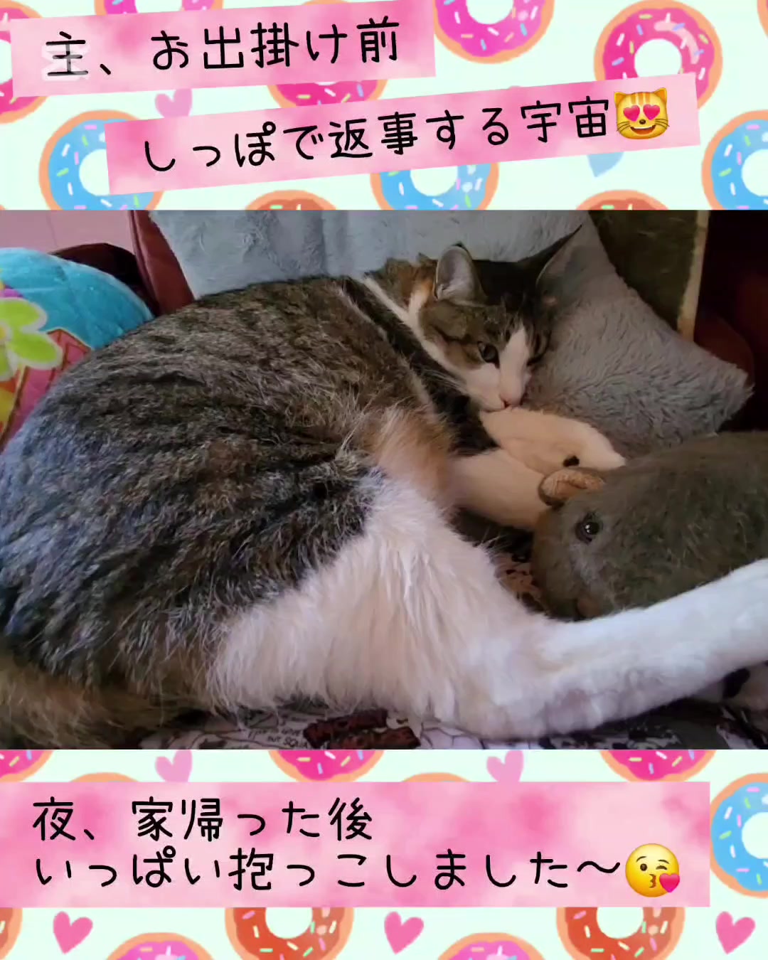@momo