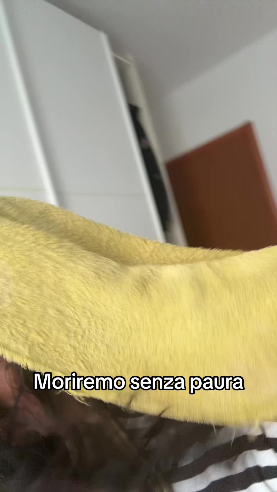 @𝕾𝖙𝖊𝖋𝖞𝕮𝖑𝖊𝖔𝖕𝖆𝖙𝖗𝖆🖤