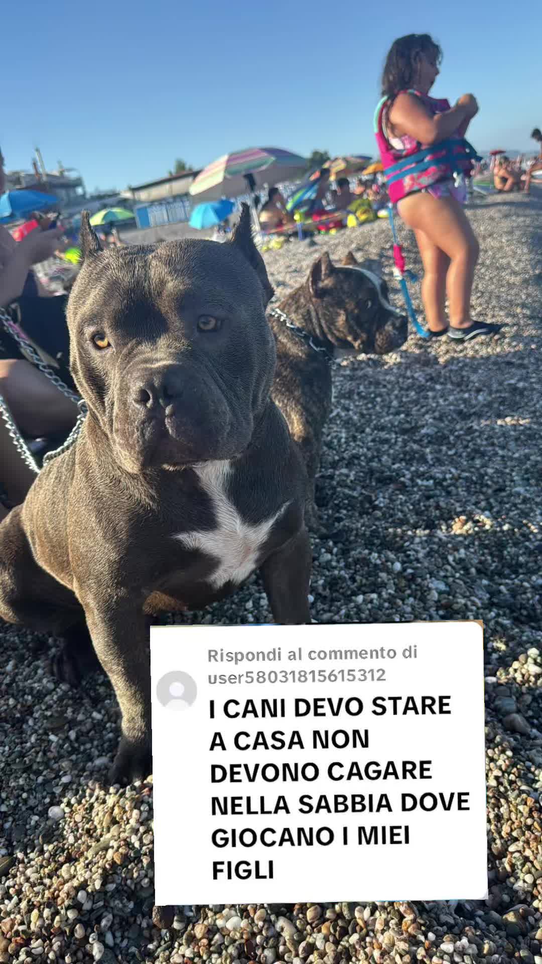 @⚠️ IL RE DEI BULLY ⚠️